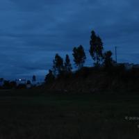 20100705_Photo_1012_DSC_4906_CMP_WM