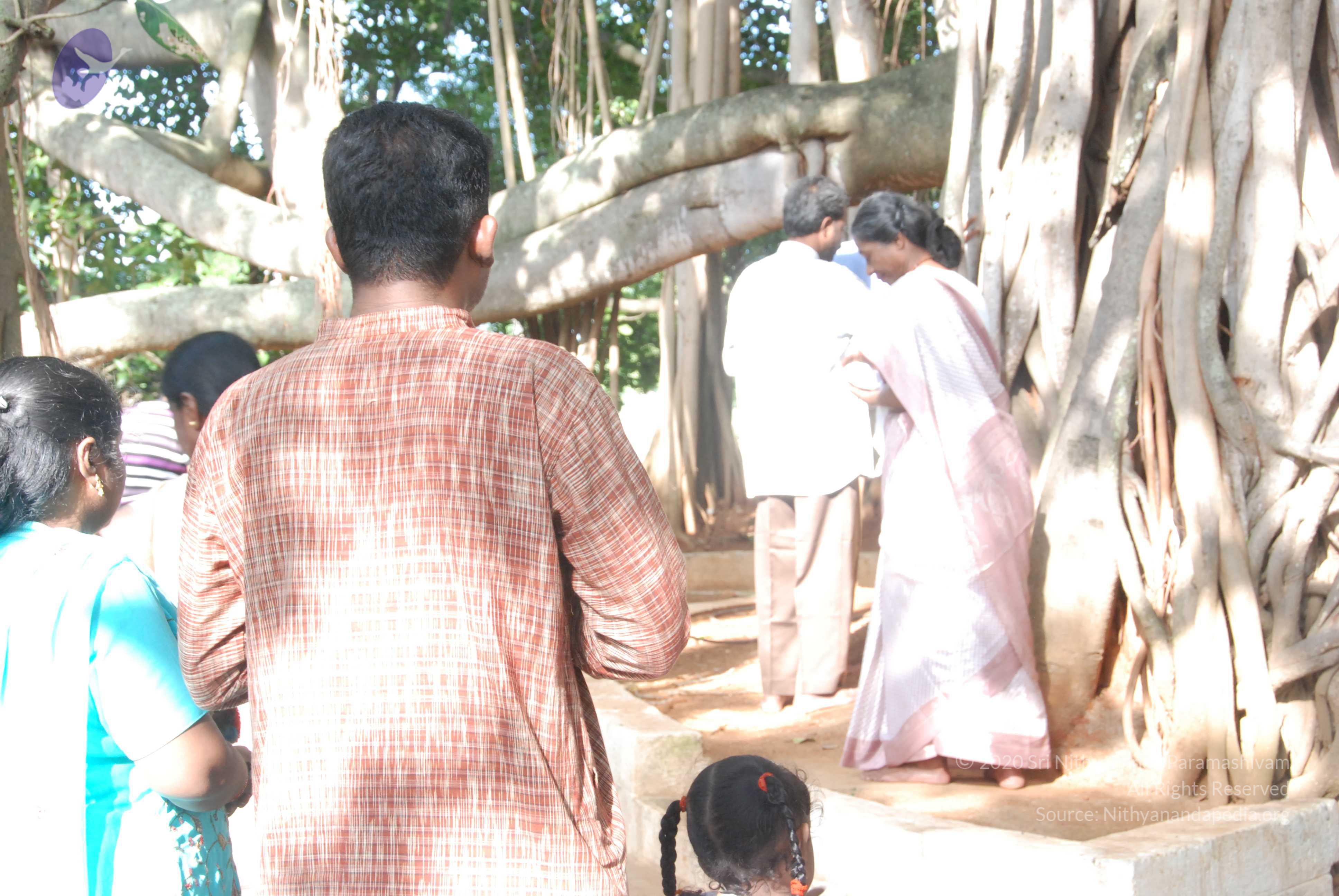 20100710_Photo_1003_DSC_7805_CMP_WM