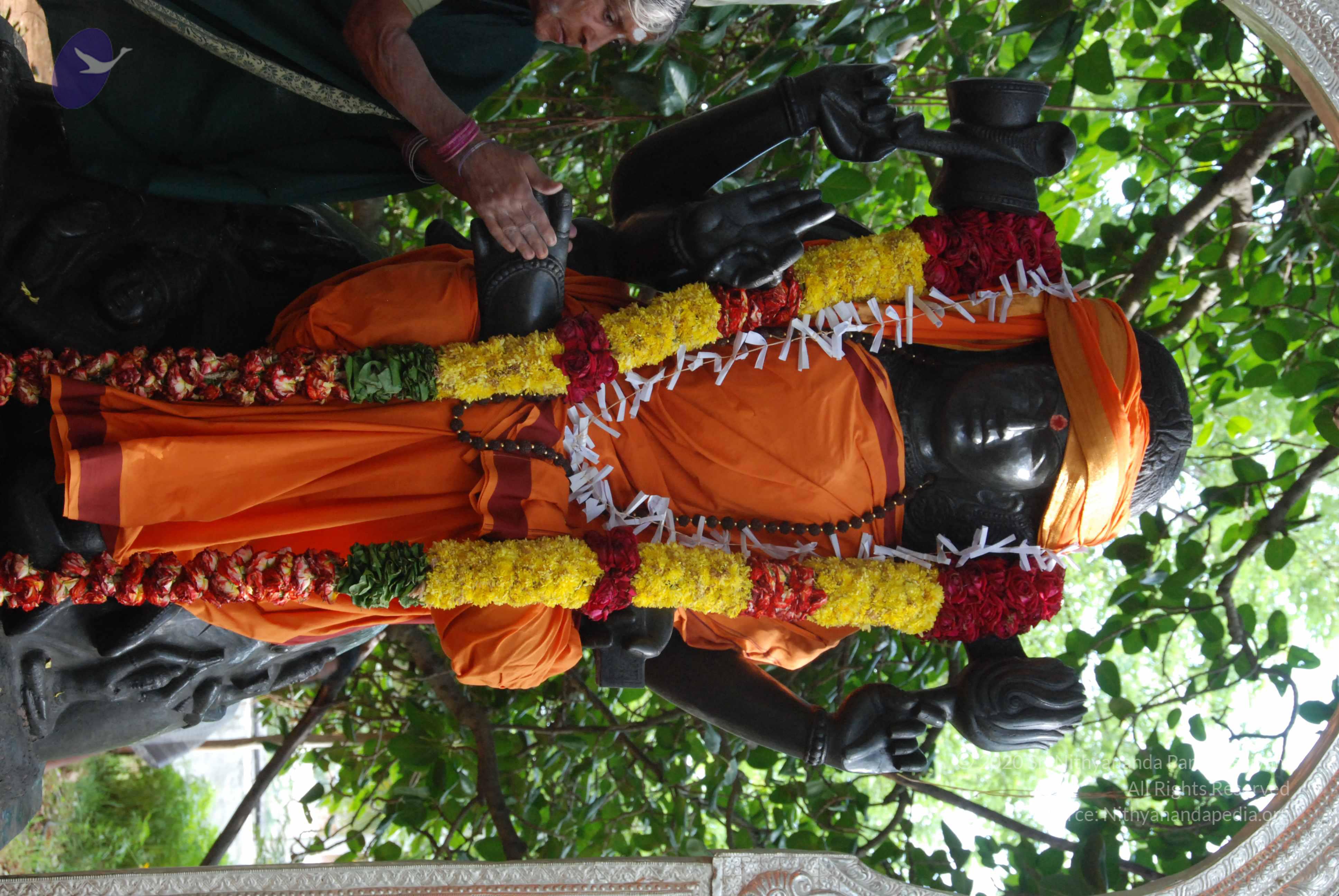 20100710_Photo_1005_DSC_7816_CMP_WM