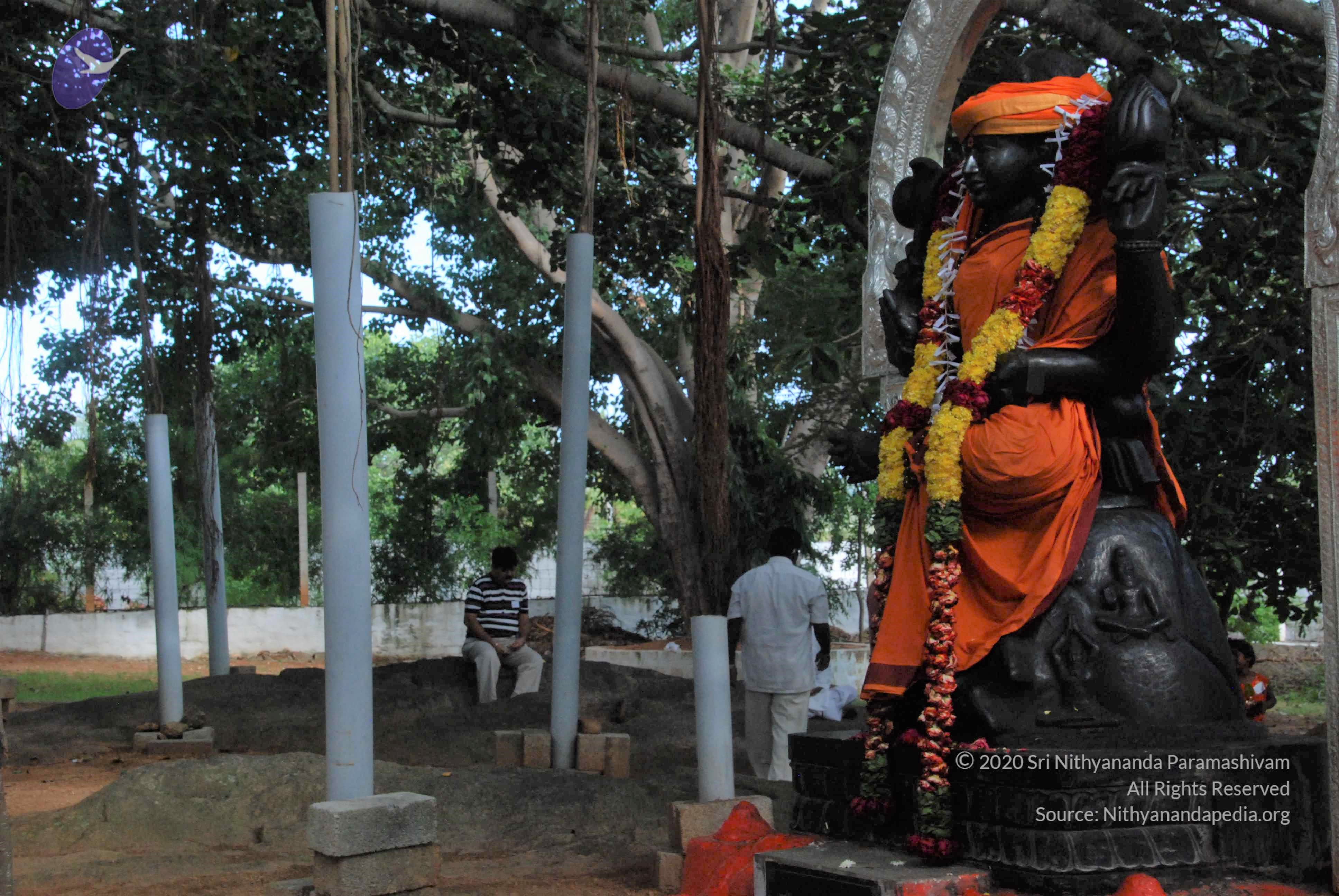 20100710_Photo_1010_DSC_7822_CMP_WM