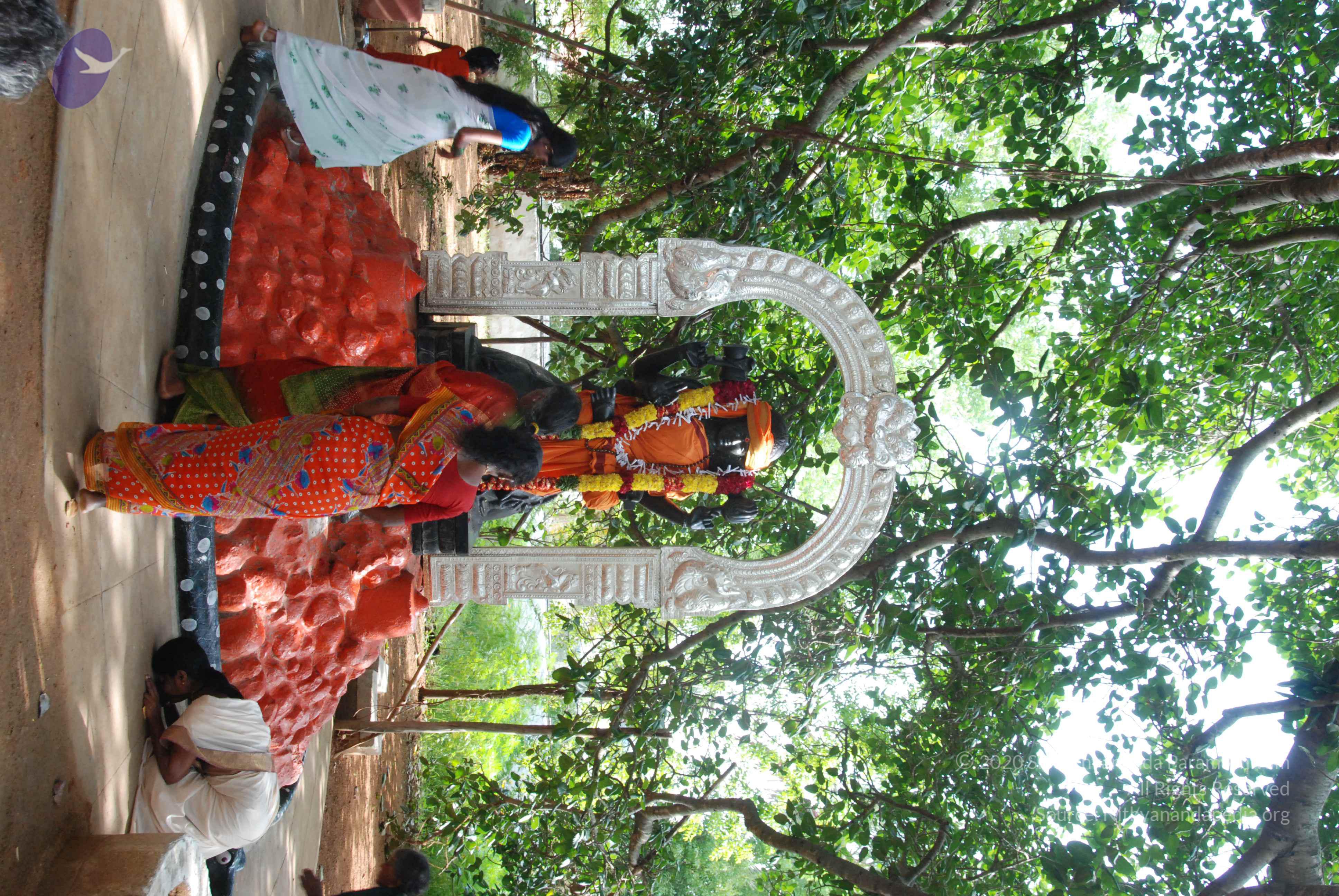 20100710_Photo_1011_DSC_7815_CMP_WM