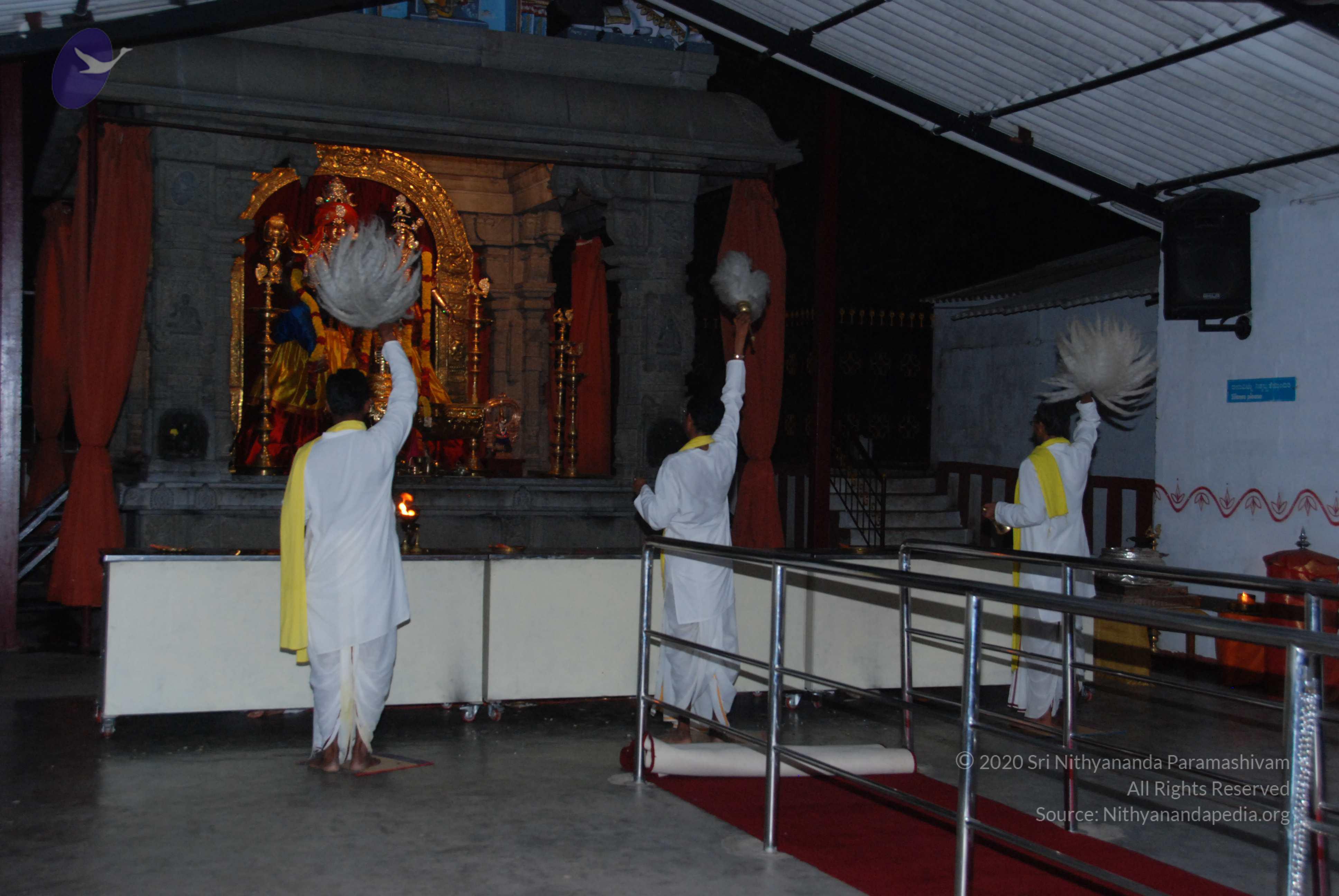 20100710_Photo_1002_DSC_7967_CMP_WM