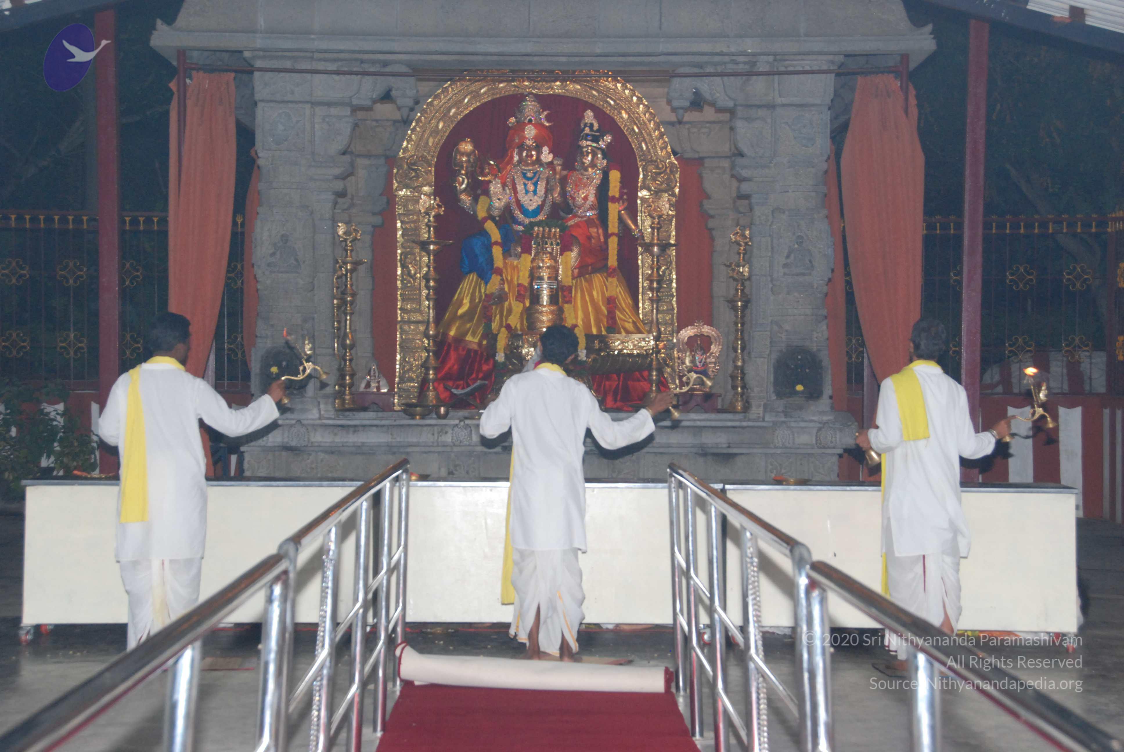 20100710_Photo_1003_DSC_7960_CMP_WM