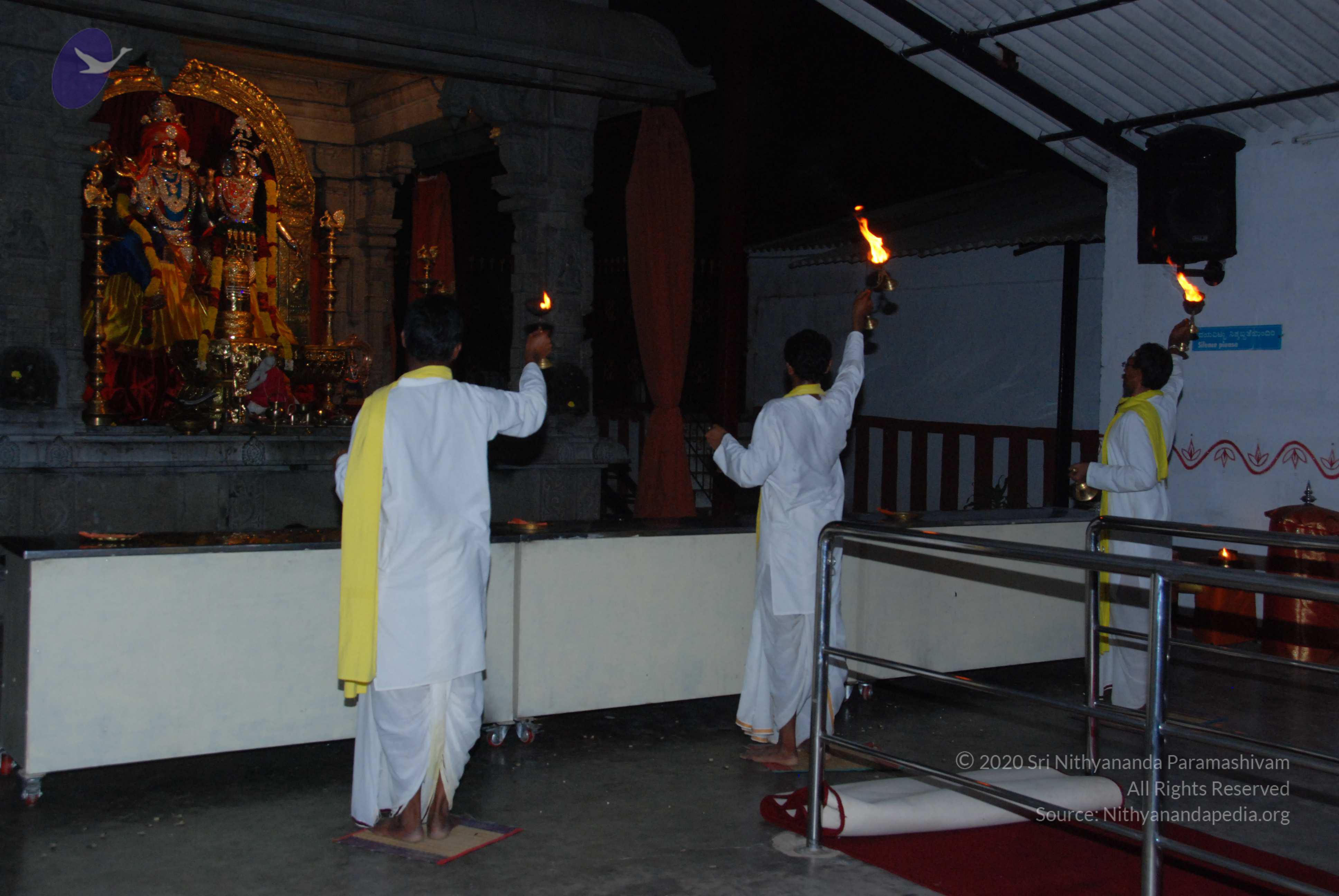 20100710_Photo_1005_DSC_7971_CMP_WM