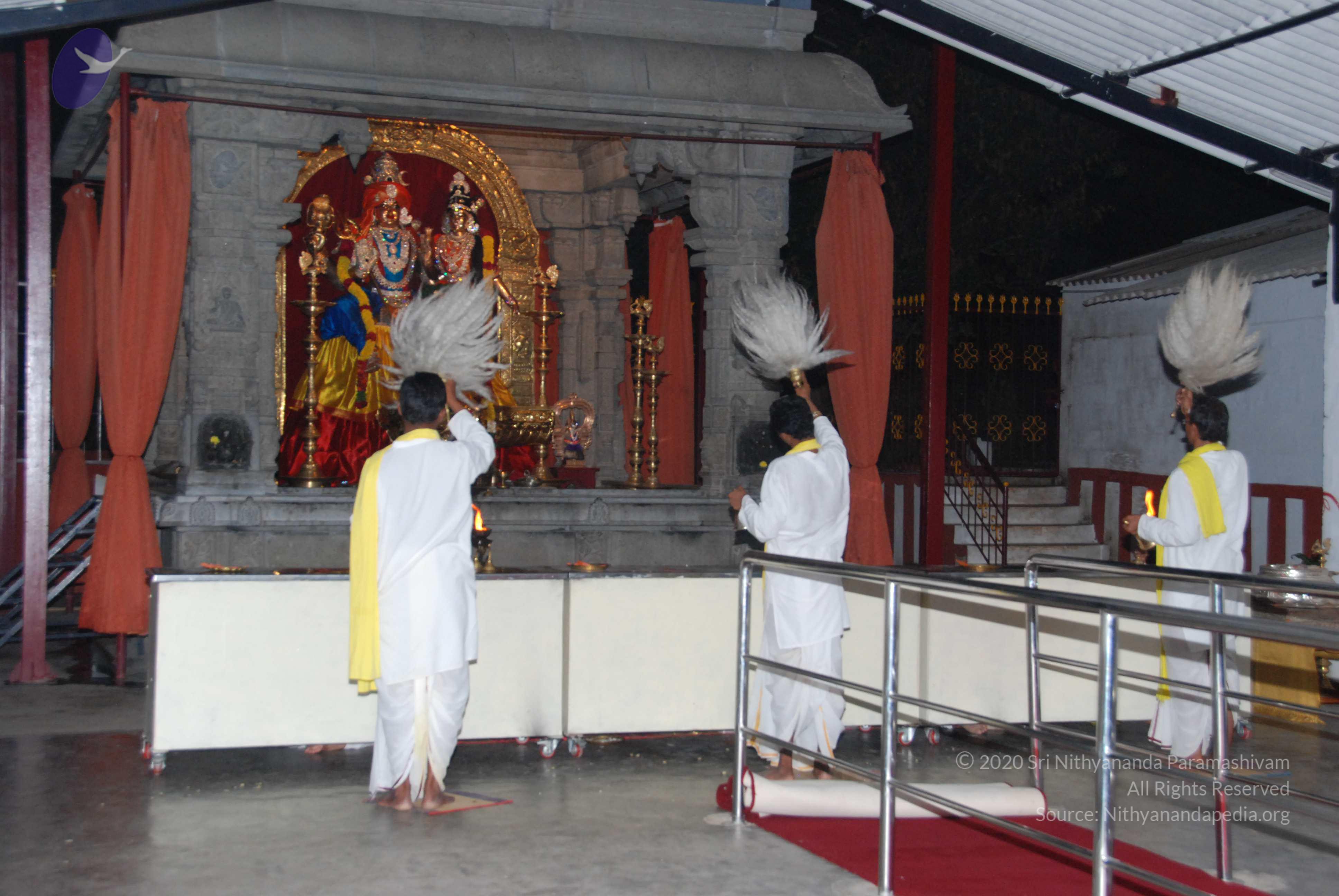 20100710_Photo_1006_DSC_7968_CMP_WM