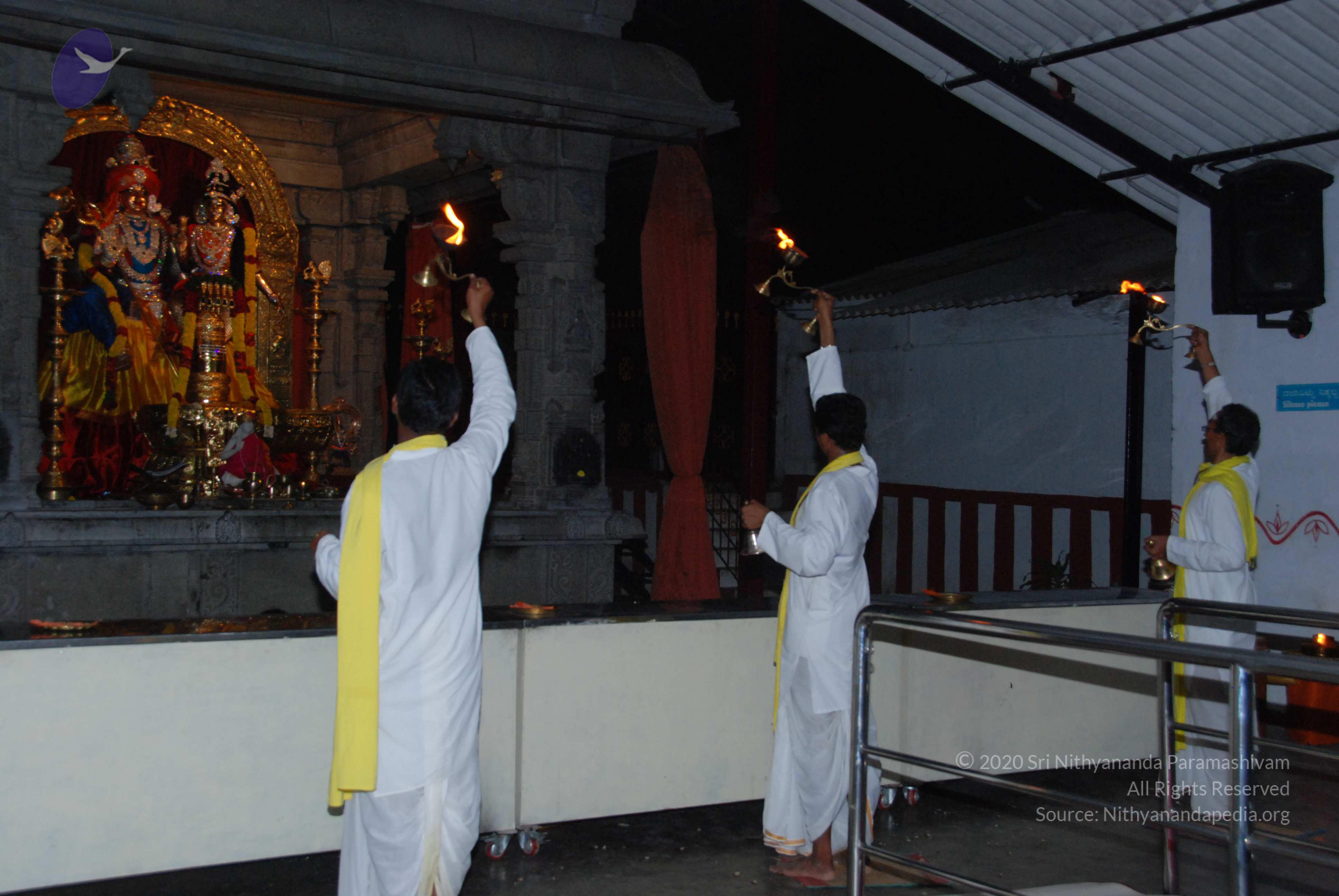 20100710_Photo_1009_DSC_7972_CMP_WM