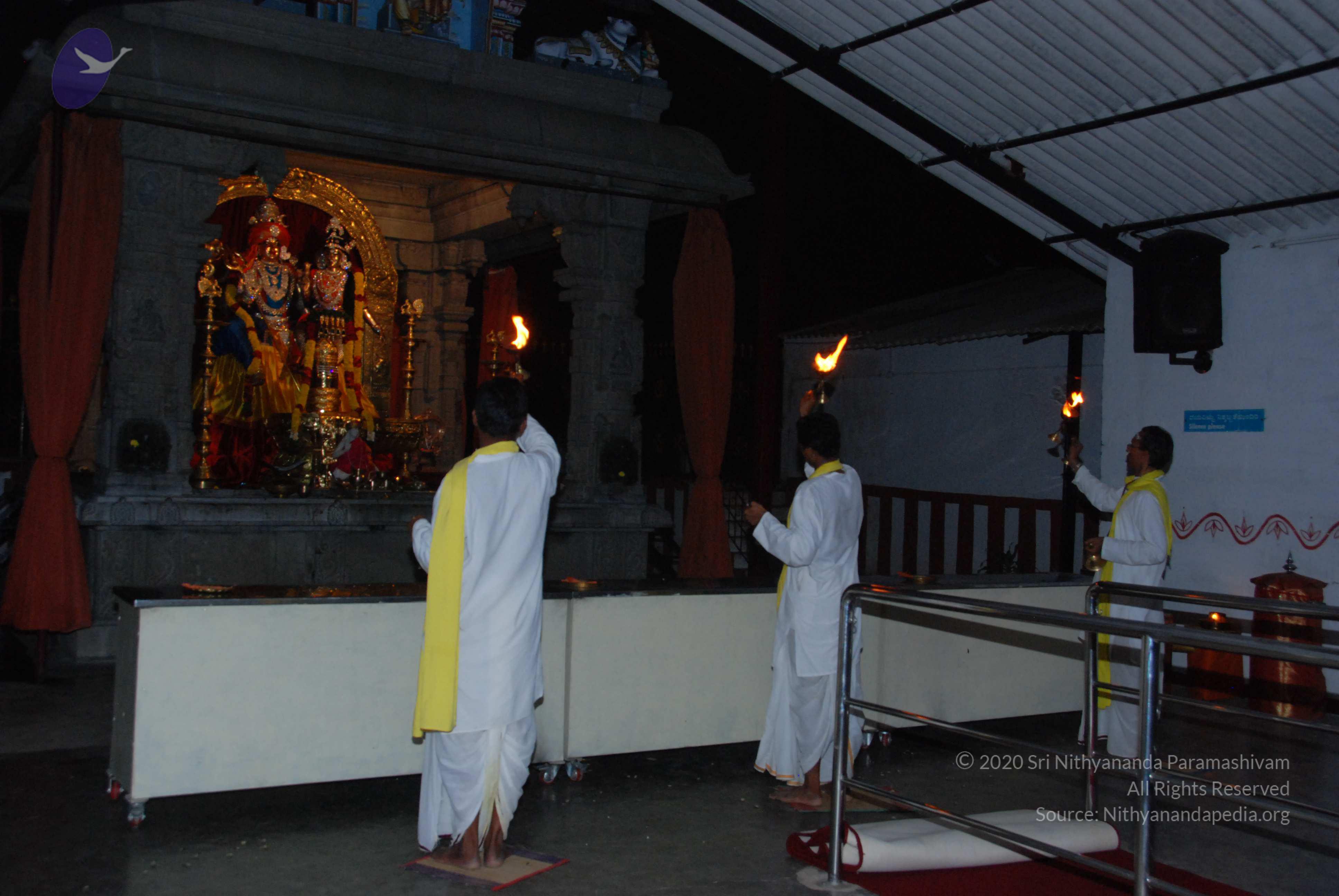 20100710_Photo_1010_DSC_7969_CMP_WM