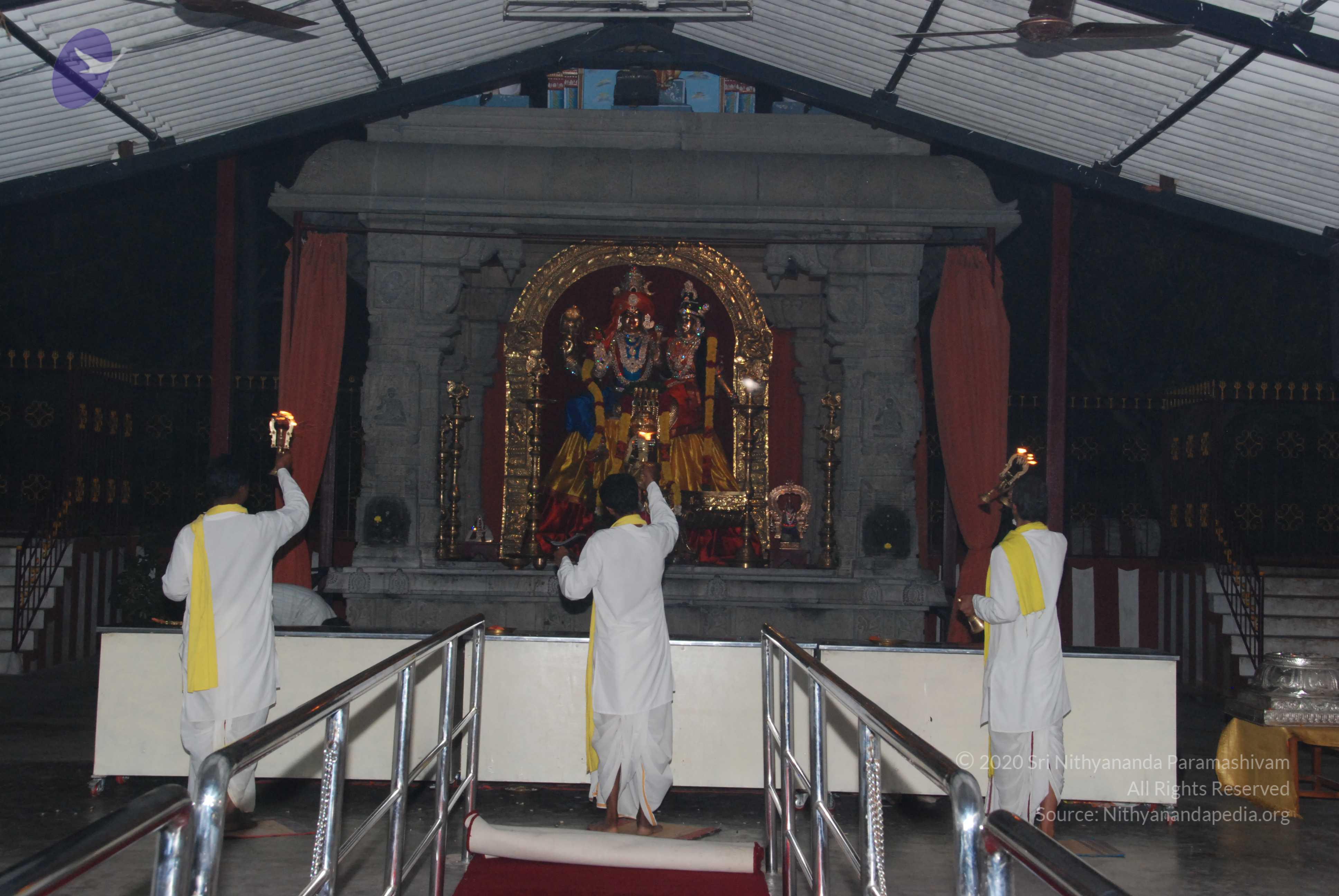 20100710_Photo_1012_DSC_7961_CMP_WM