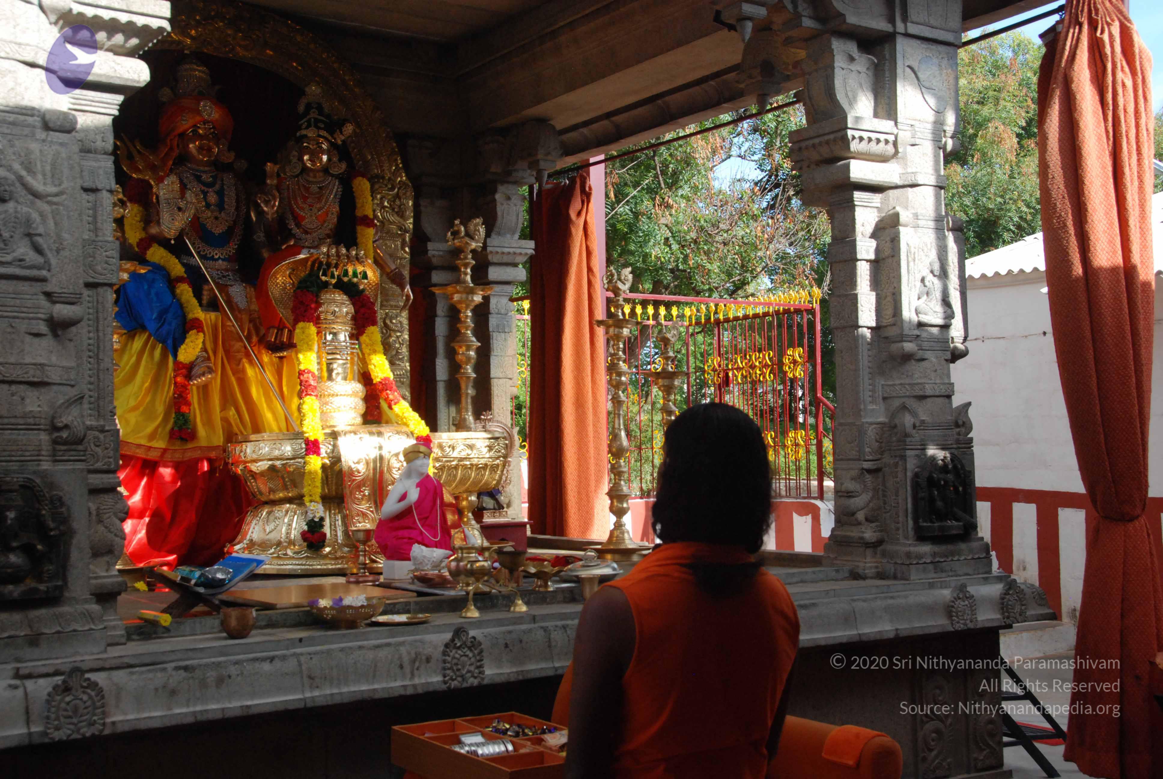 20100710_Photo_1008_DSC_7799_CMP_WM