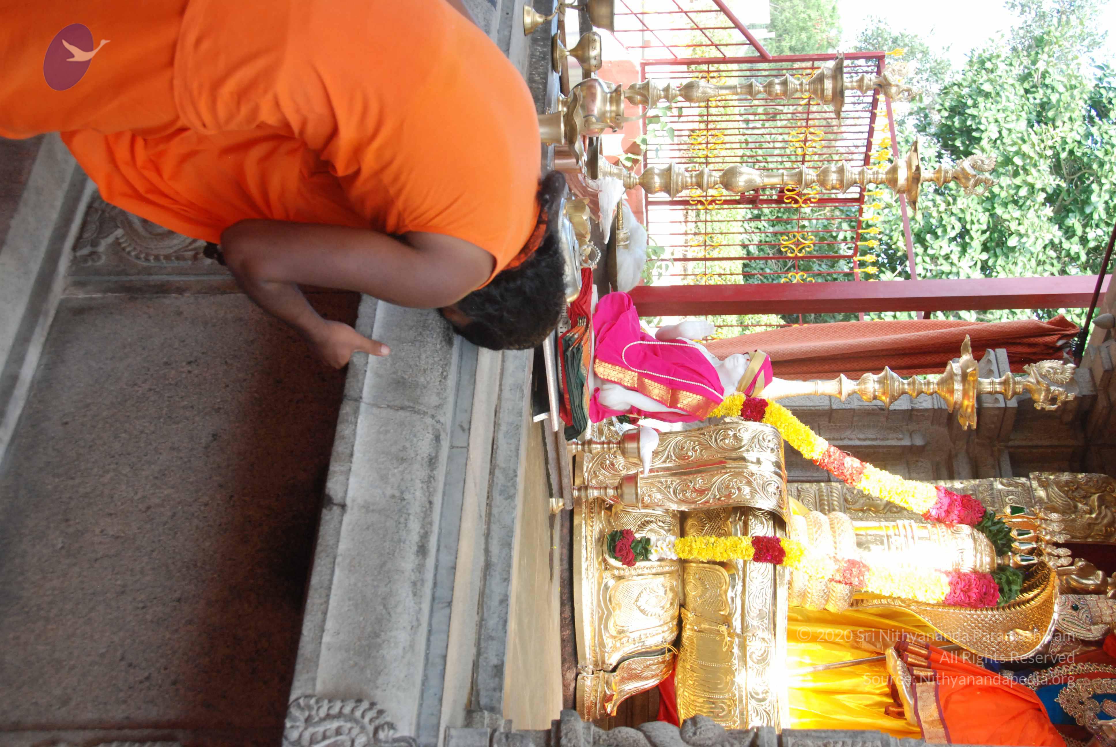 20100710_Photo_1029_DSC_7750_CMP_WM