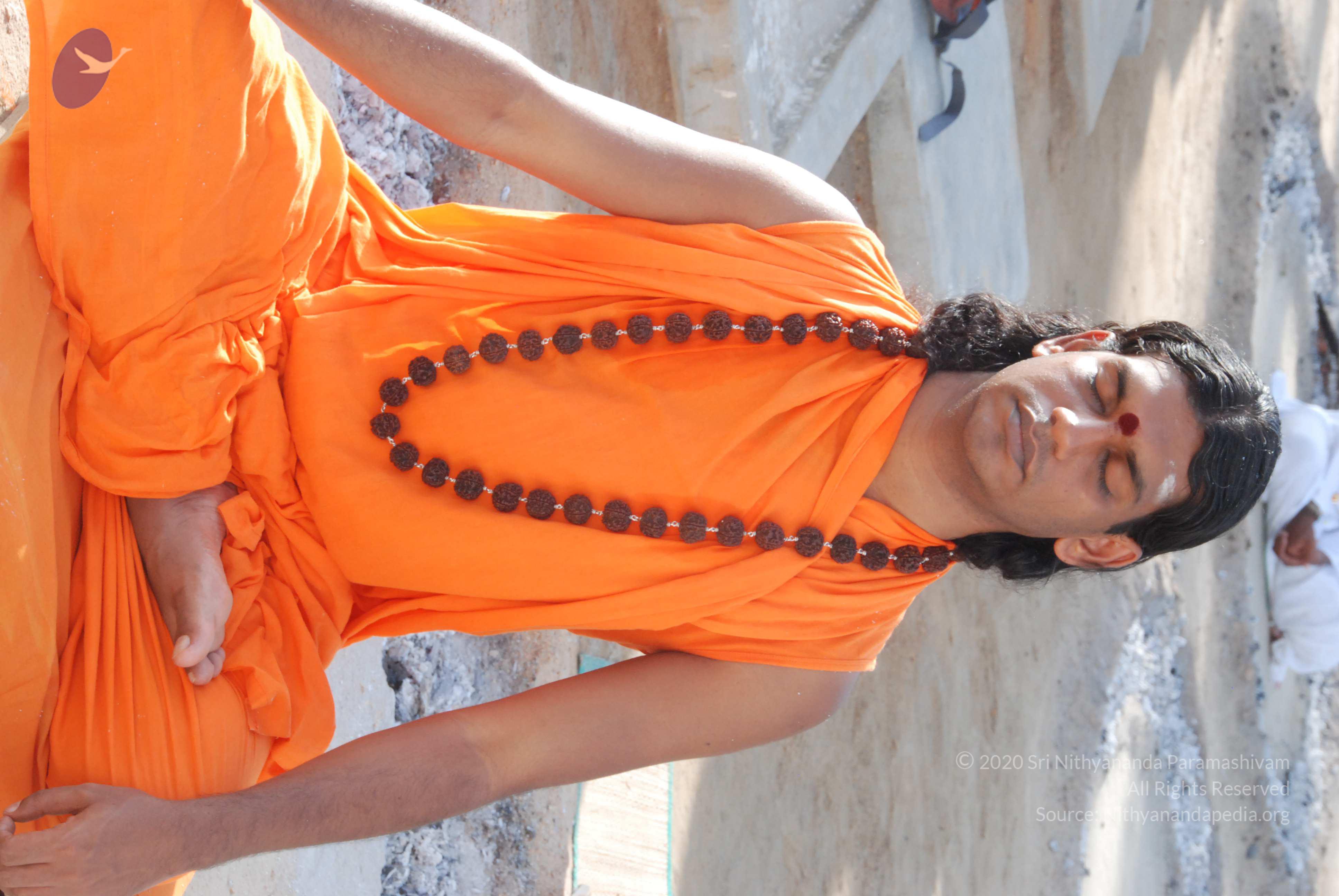 20100710_Photo_1001_DSC_7685_CMP_WM