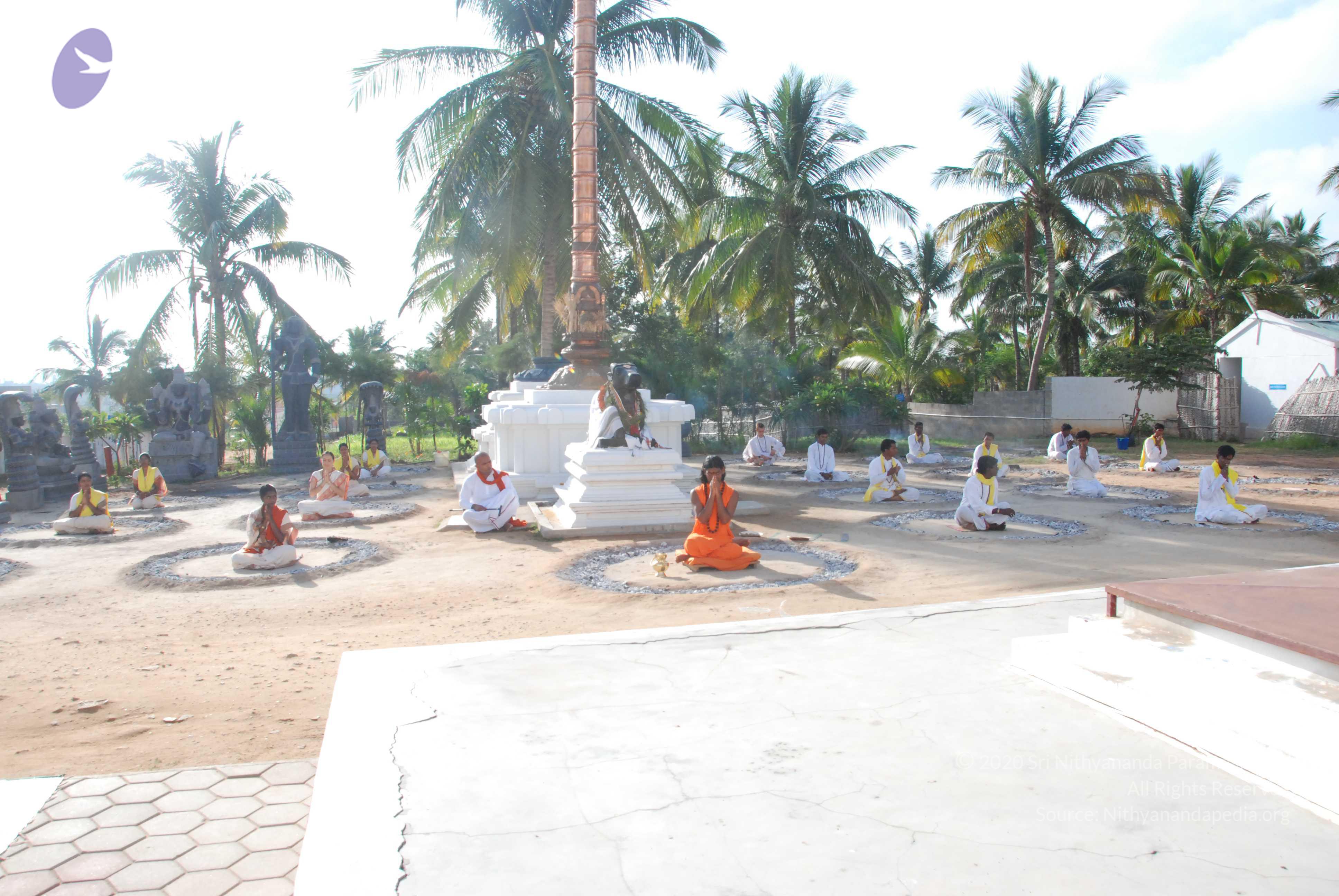 20100710_Photo_1011_DSC_7736_CMP_WM