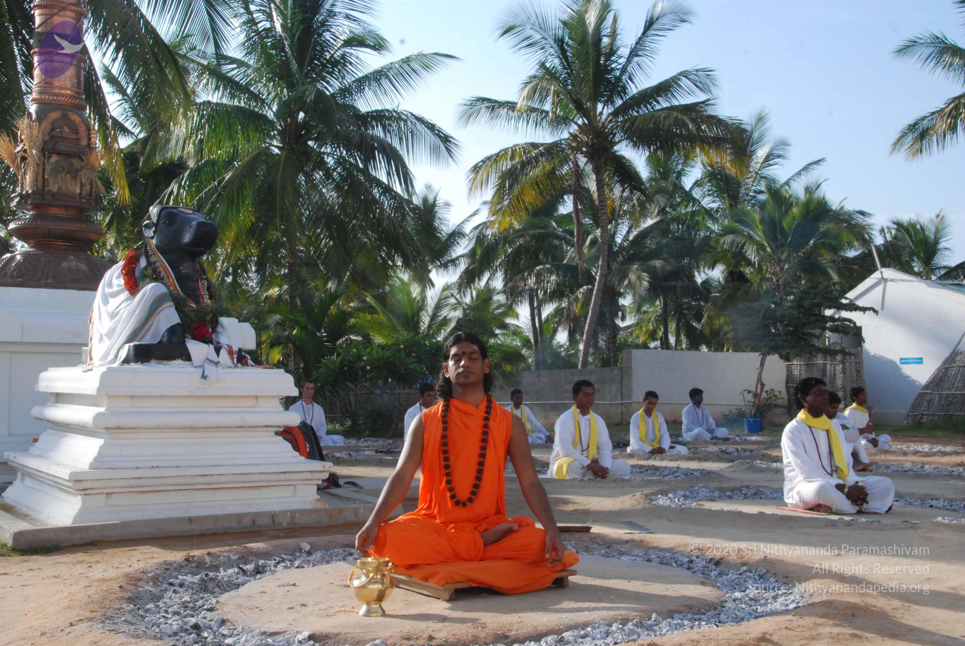 20100710_Photo_1014_DSC_7677_CMP_WM