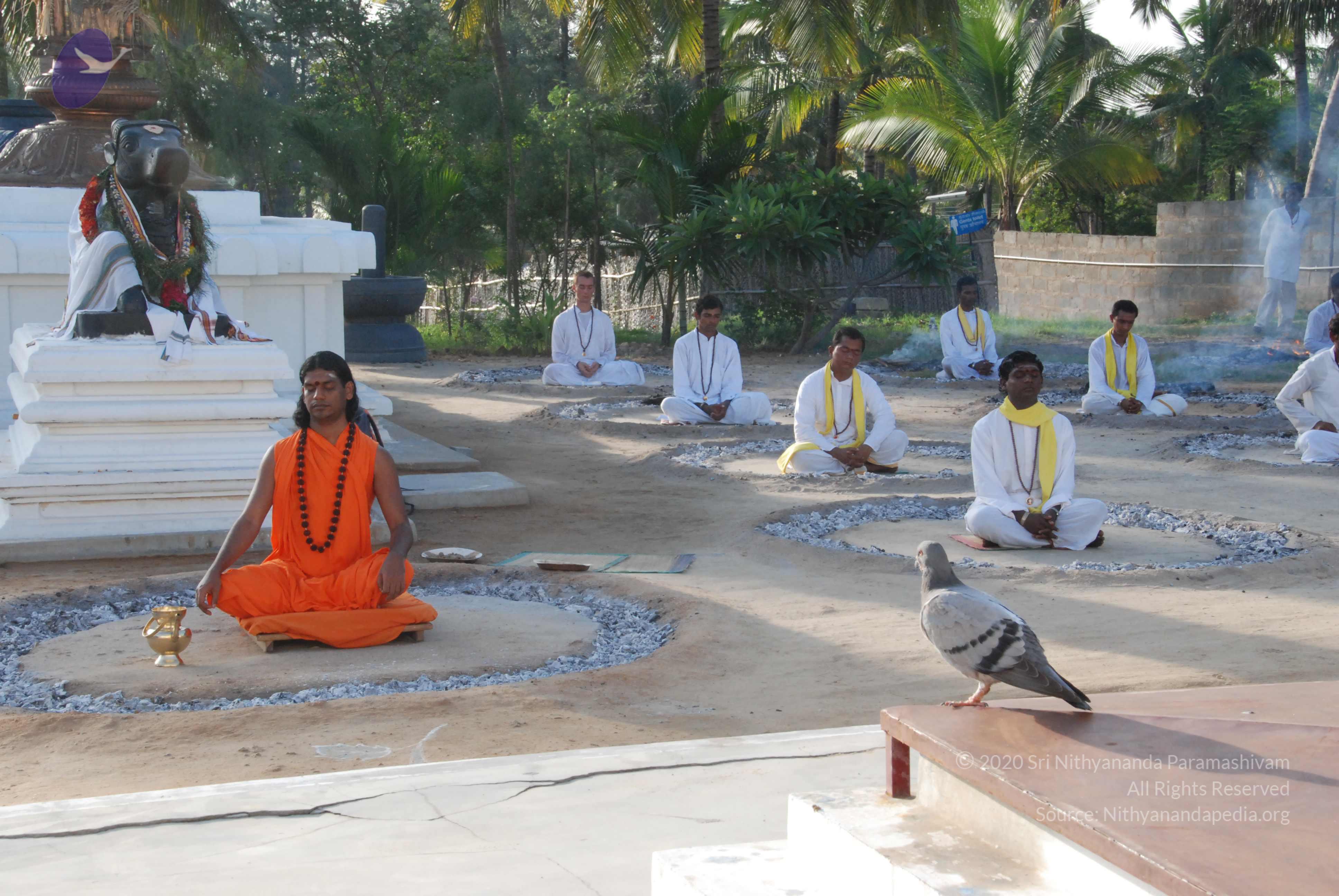 20100710_Photo_1020_DSC_7610_CMP_WM