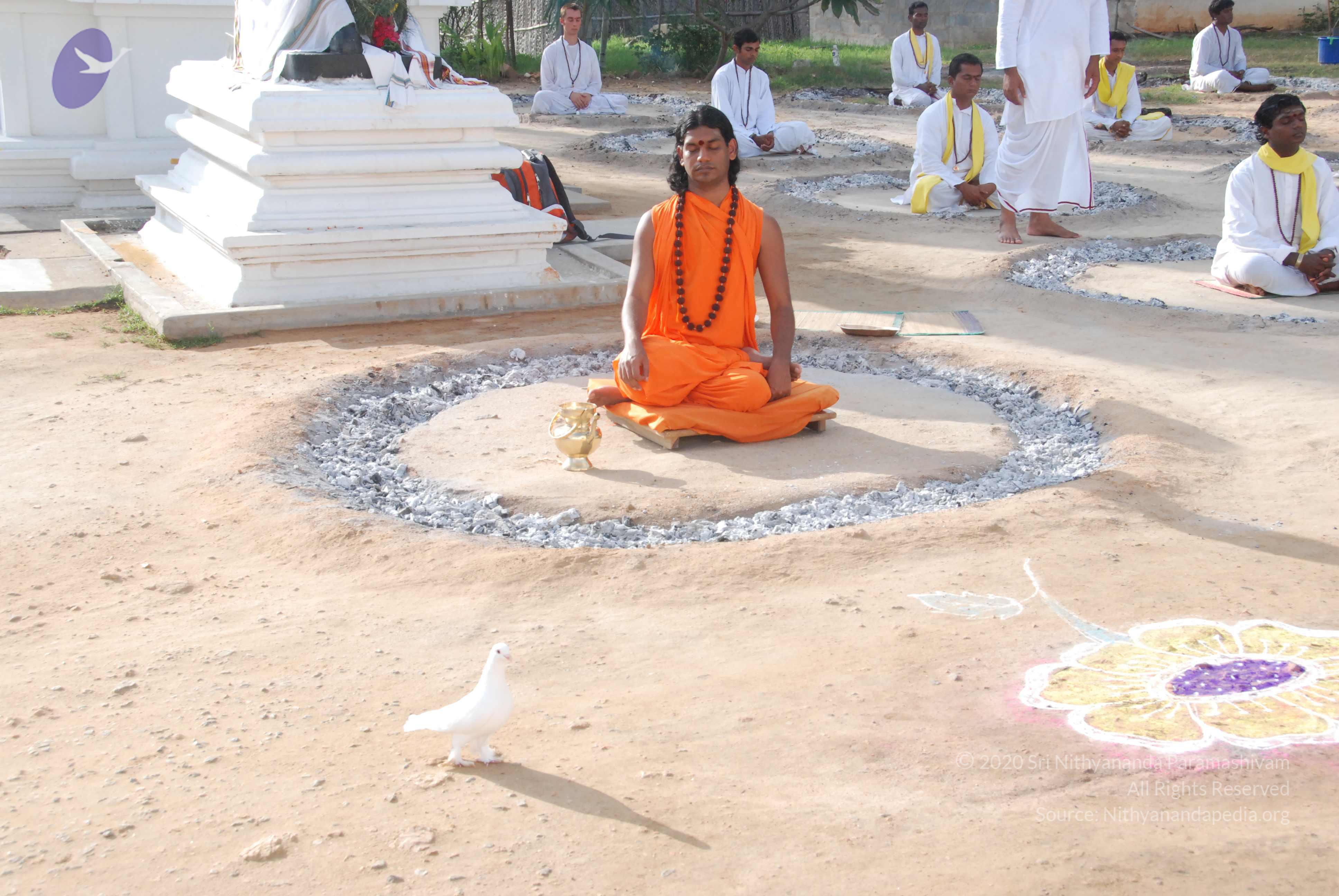 20100710_Photo_1023_DSC_7704_CMP_WM