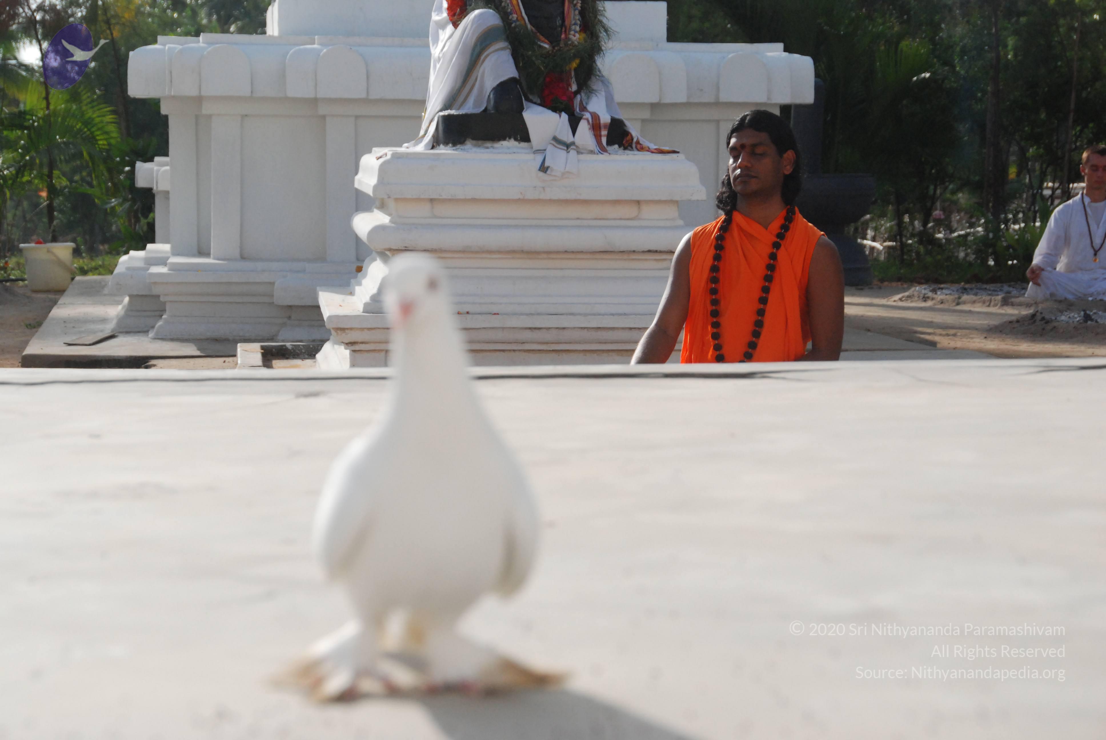 20100710_Photo_1048_DSC_7712_CMP_WM