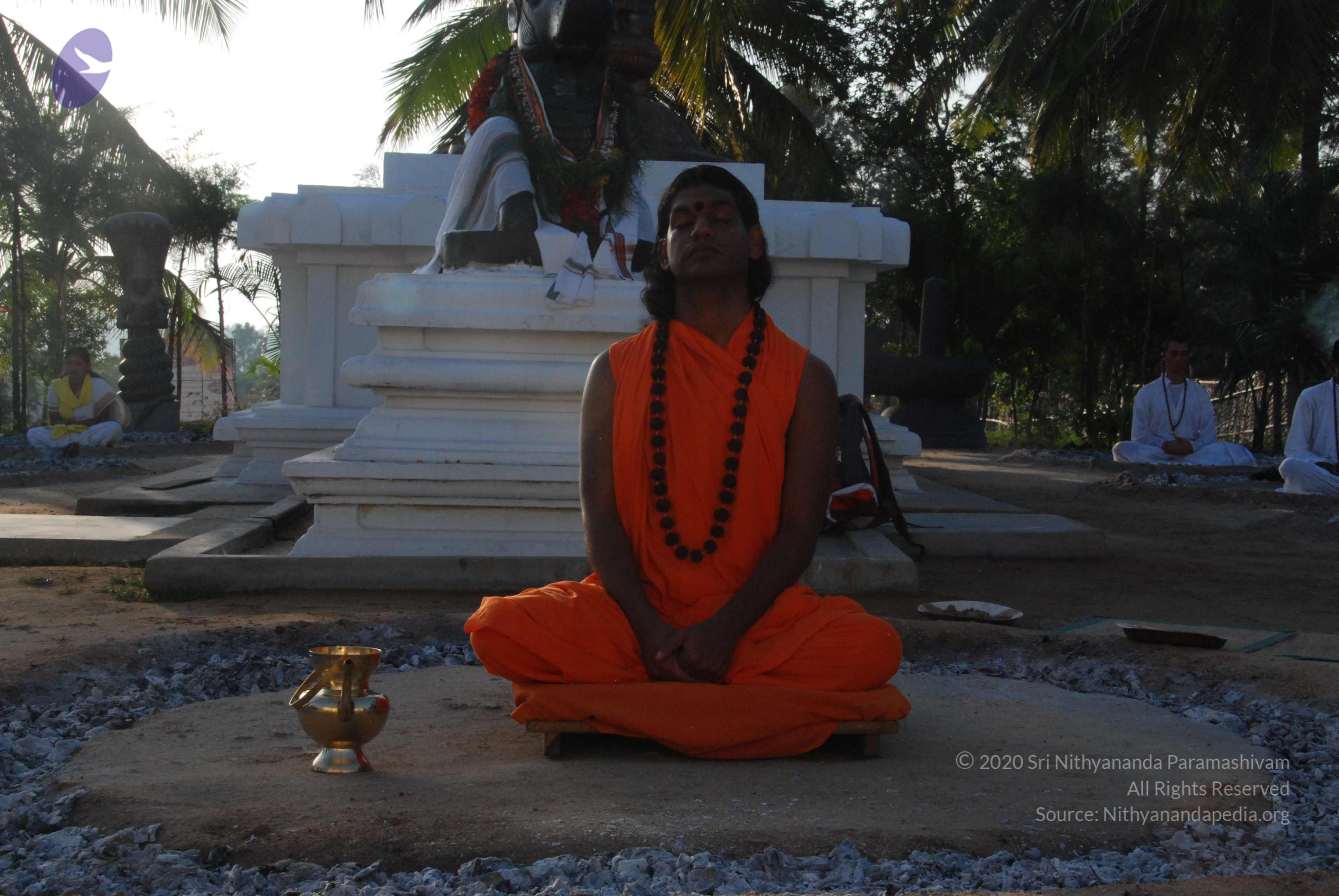 20100710_Photo_1049_DSC_7558_CMP_WM