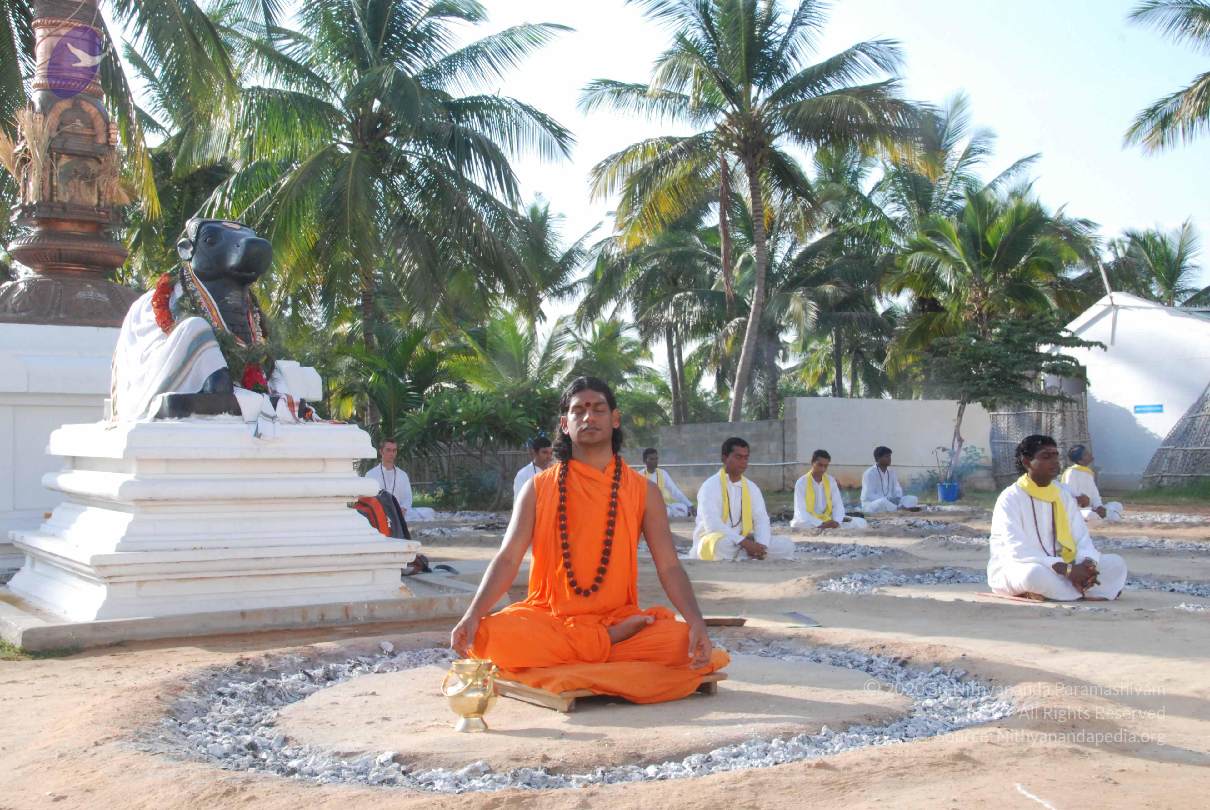 20100710_Photo_1050_DSC_7678_CMP_WM