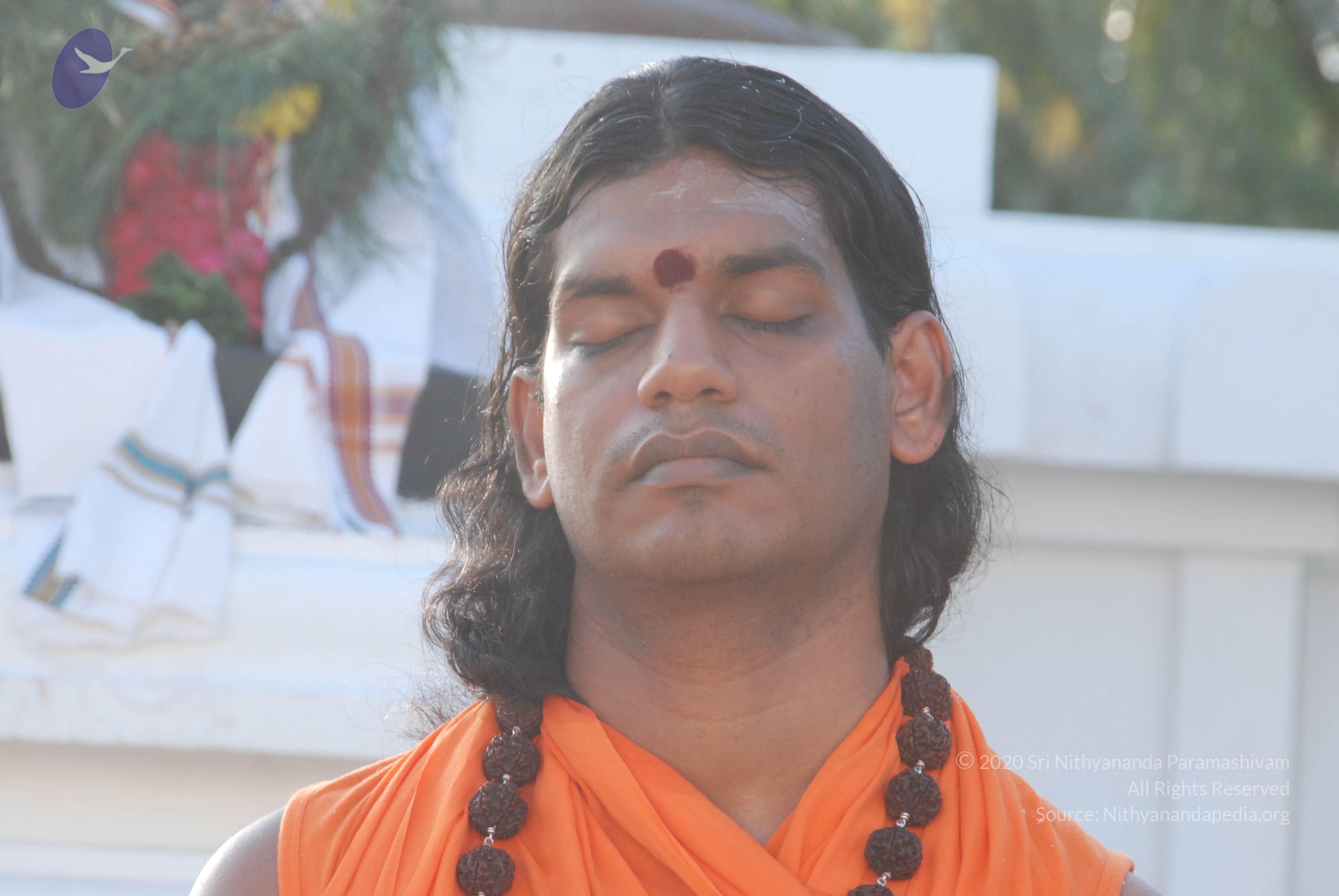 20100710_Photo_1053_DSC_7562_CMP_WM