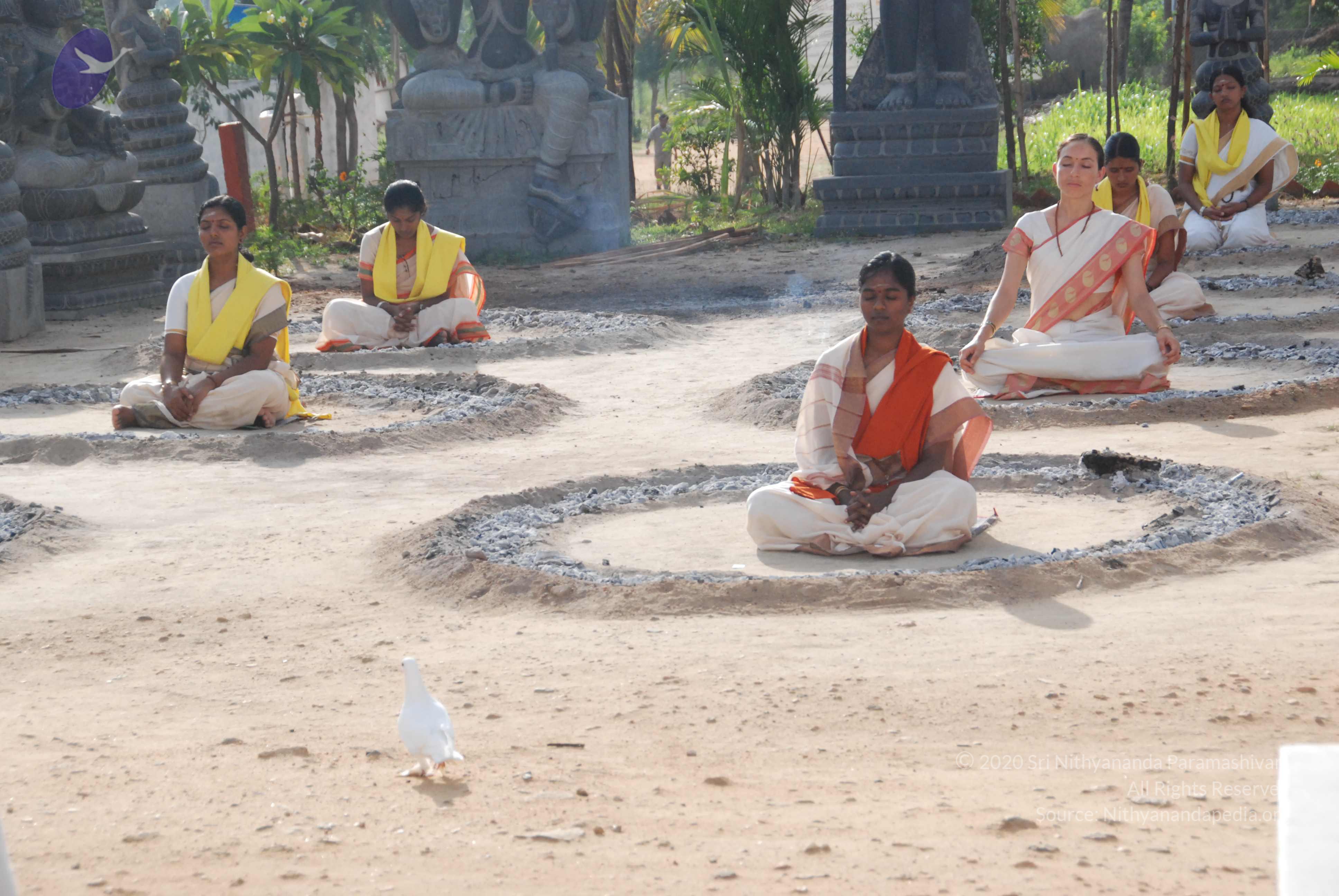 20100710_Photo_1060_DSC_7703_CMP_WM