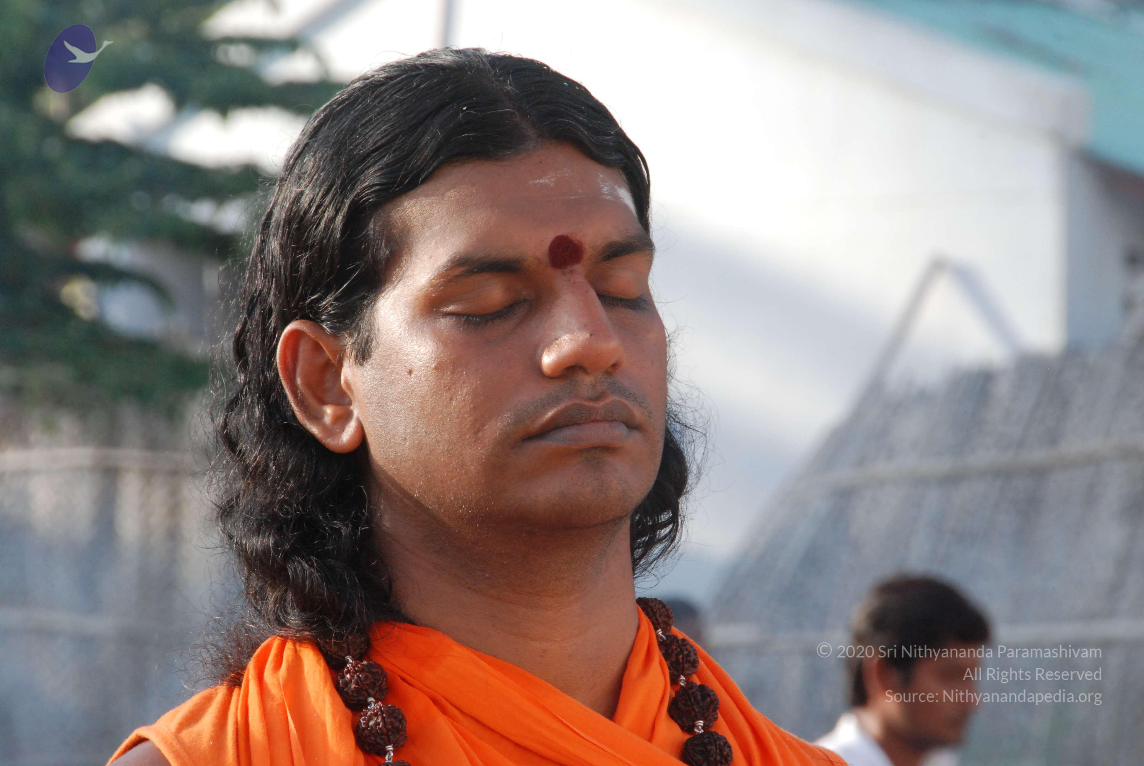 20100710_Photo_1068_DSC_7625_CMP_WM