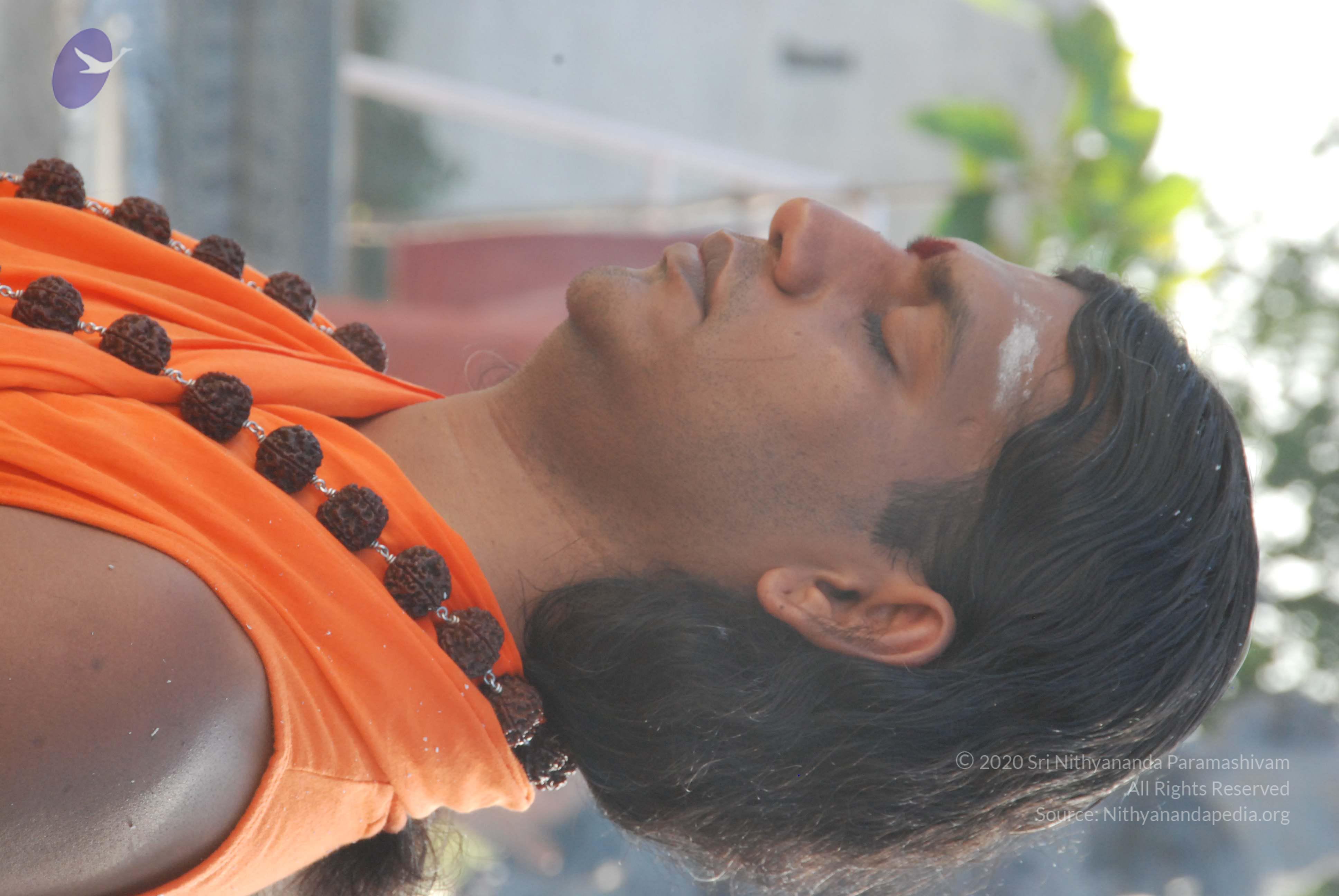 20100710_Photo_1074_DSC_7595_CMP_WM