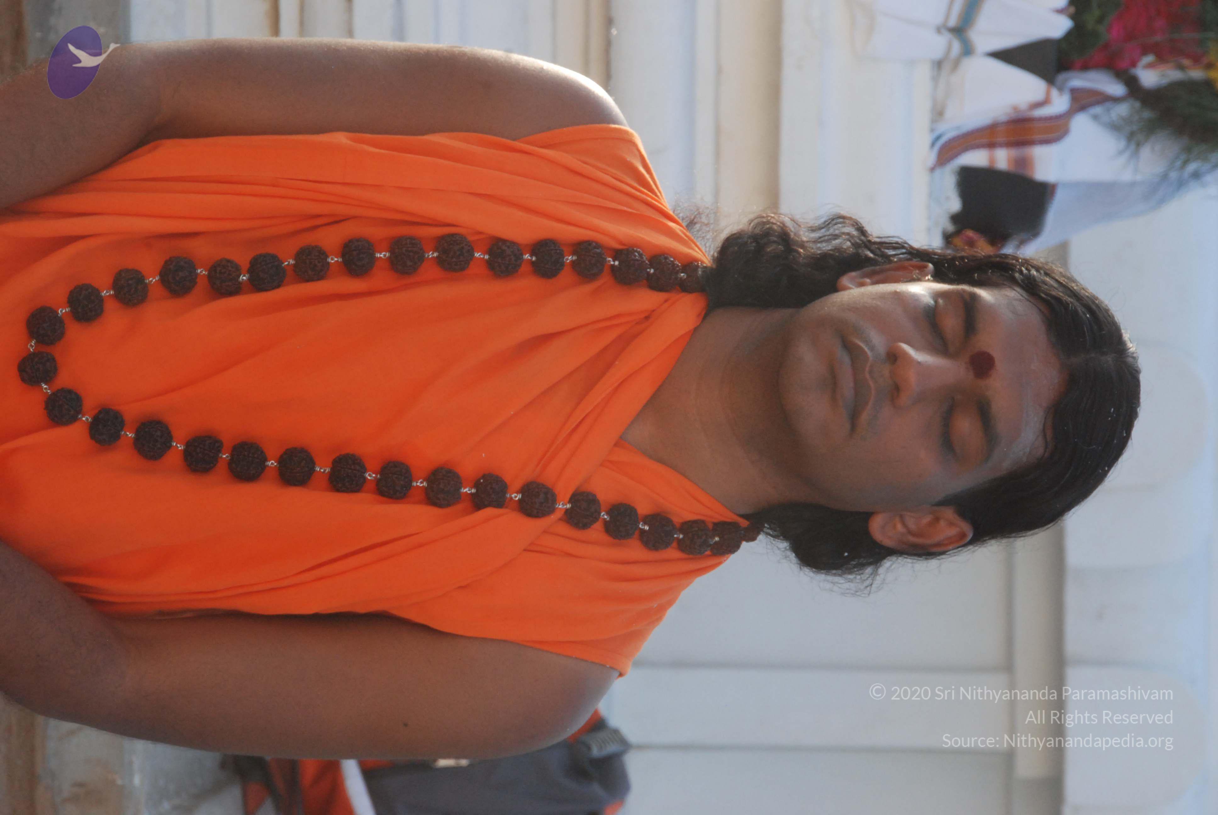 20100710_Photo_1094_DSC_7553_CMP_WM