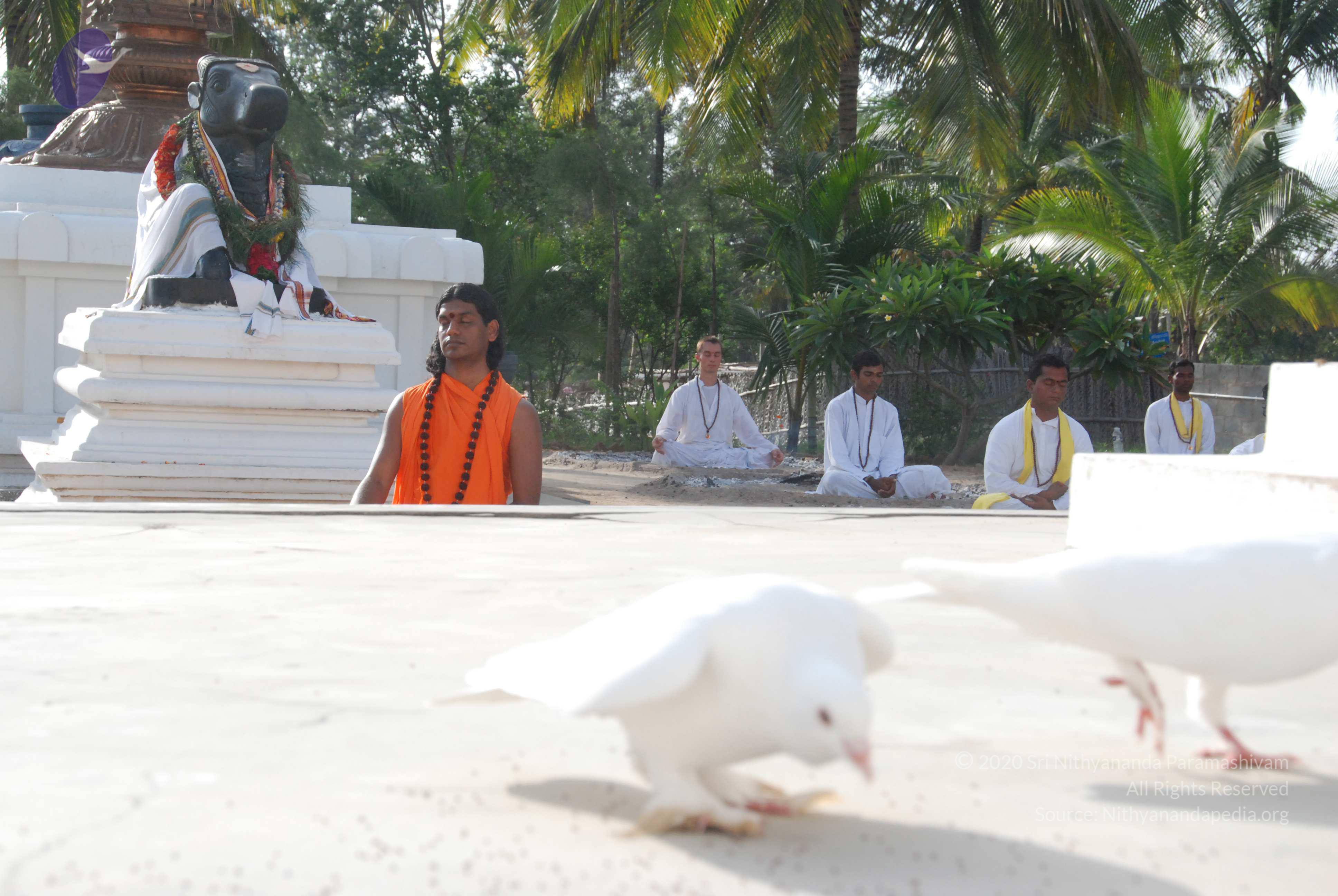 20100710_Photo_1115_DSC_7711_CMP_WM