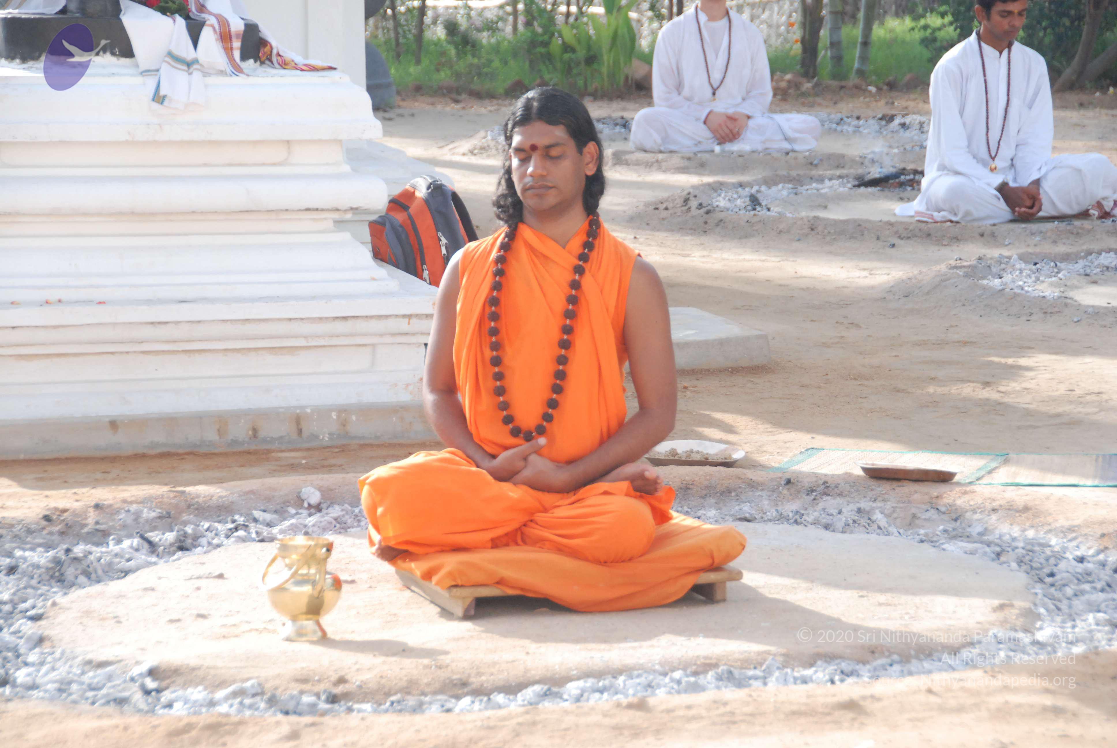 20100710_Photo_1116_DSC_7700_CMP_WM