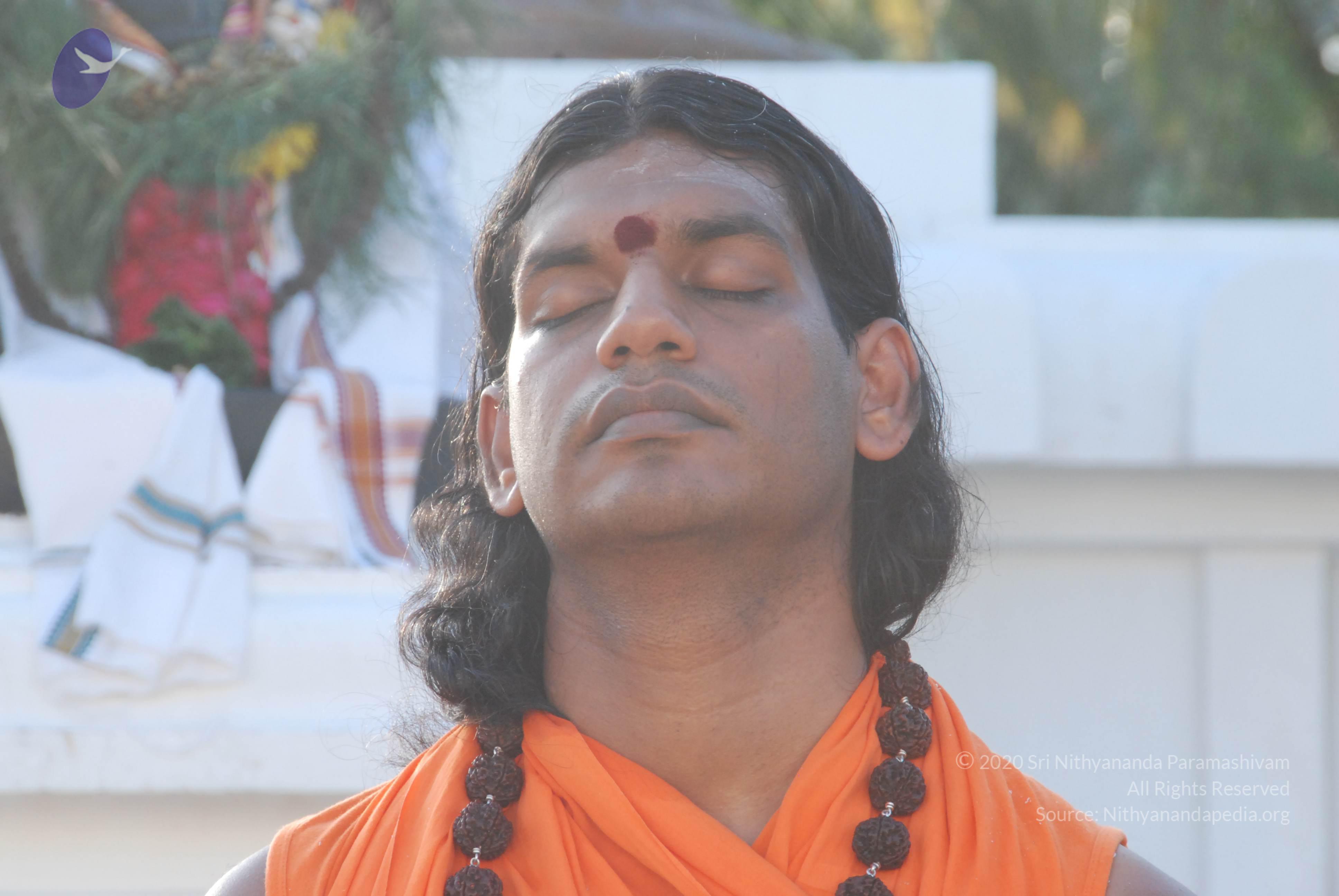 20100710_Photo_1126_DSC_7561_CMP_WM