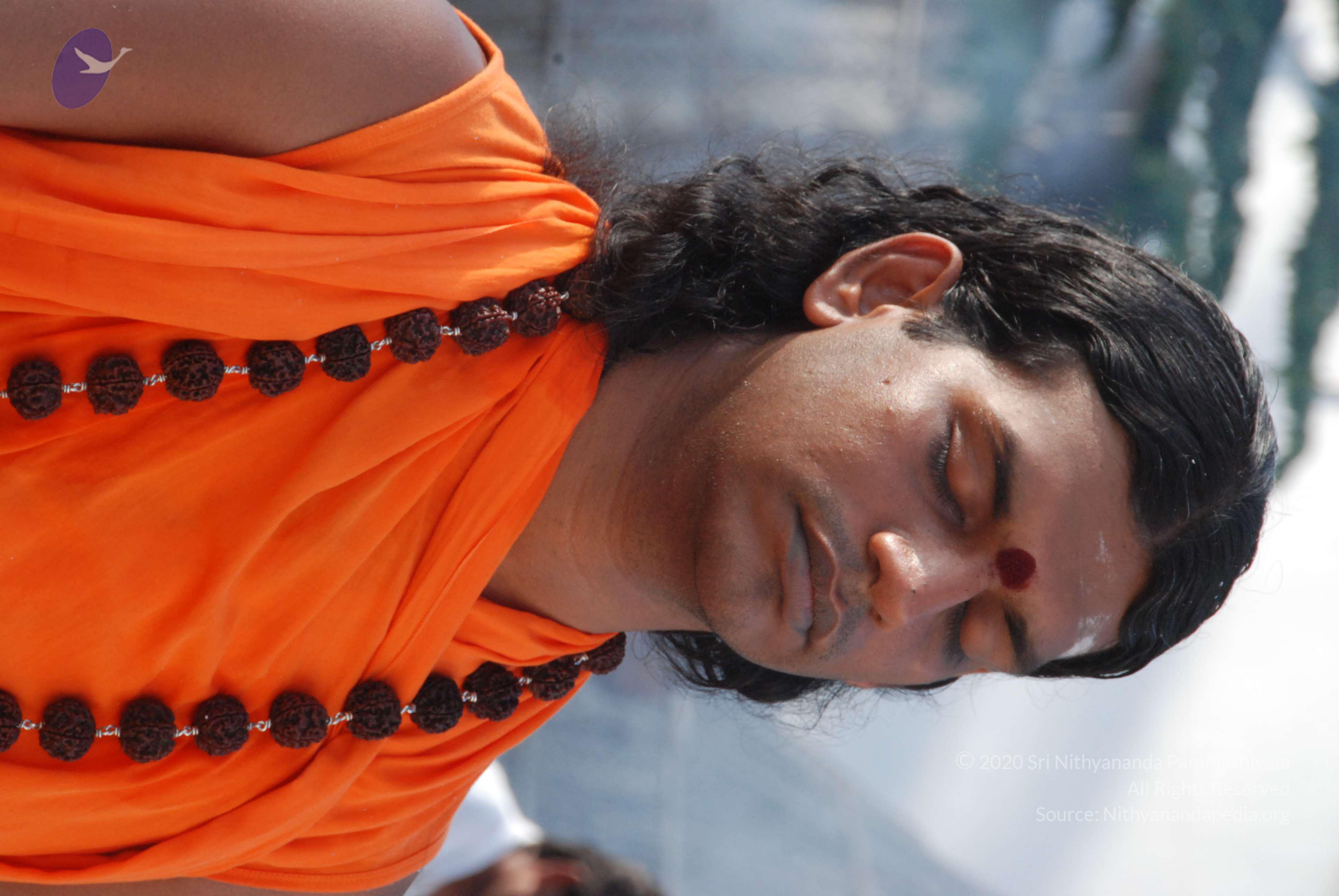 20100710_Photo_1134_DSC_7624_CMP_WM