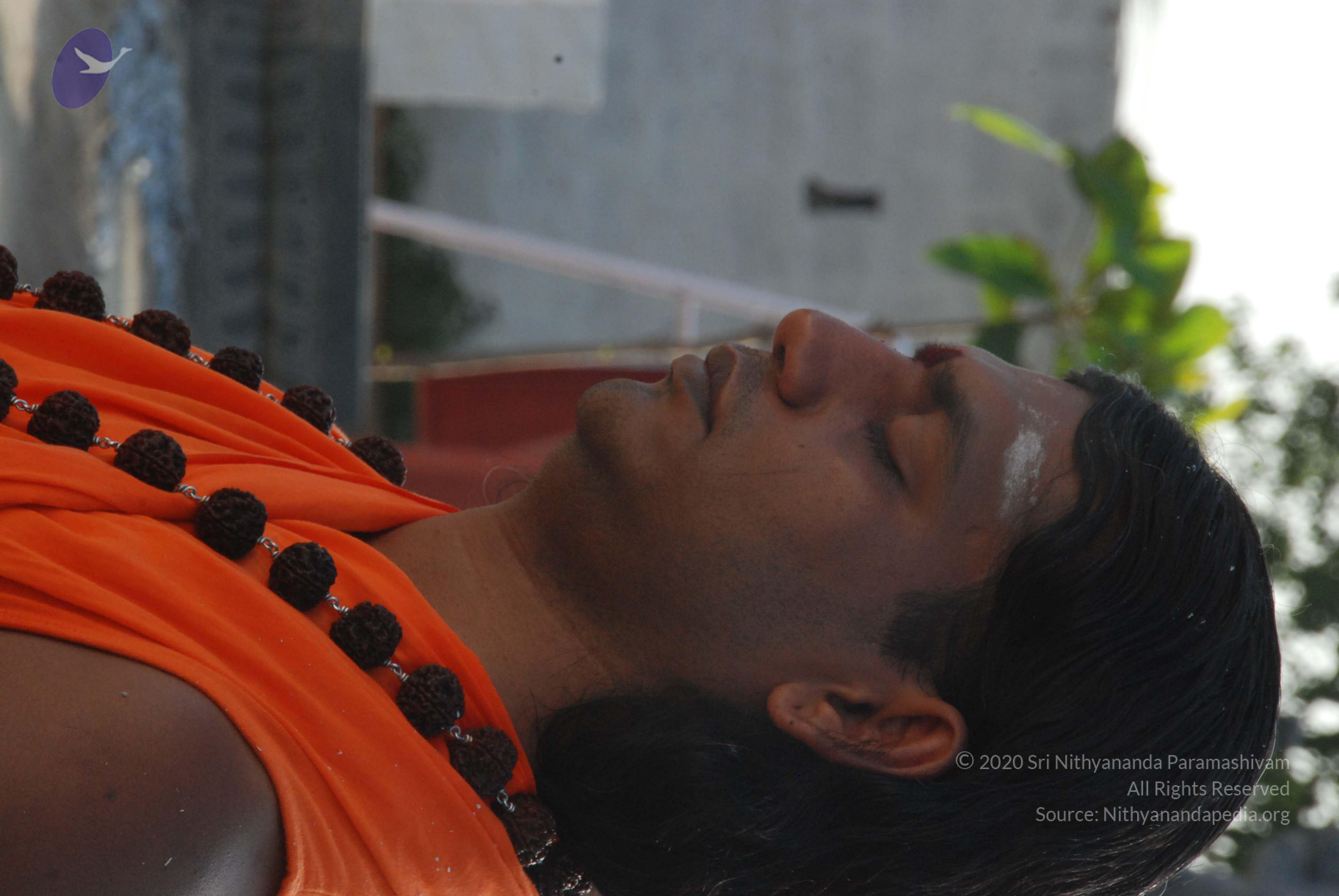 20100710_Photo_1145_DSC_7594_CMP_WM