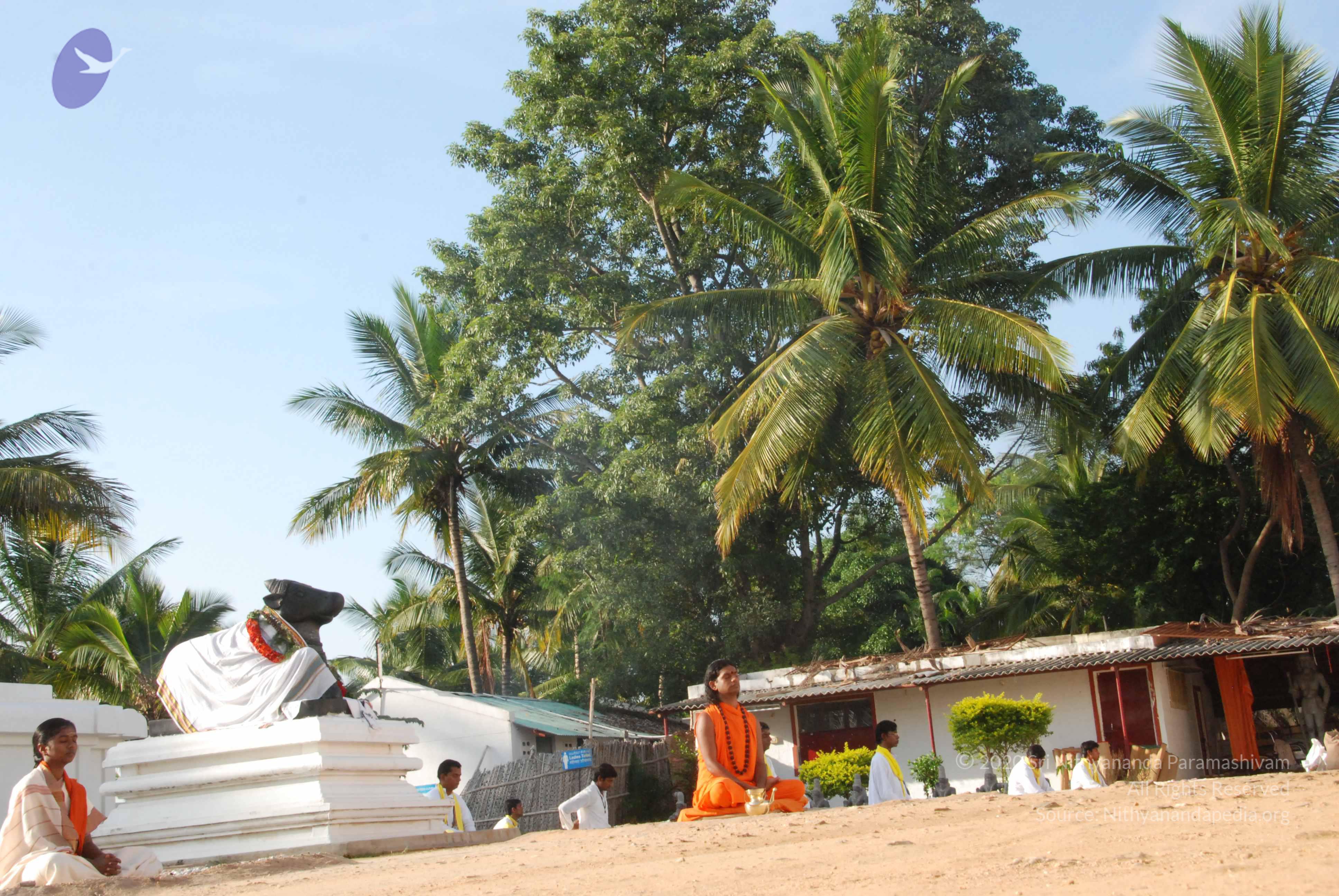 20100710_Photo_1150_DSC_7665_CMP_WM