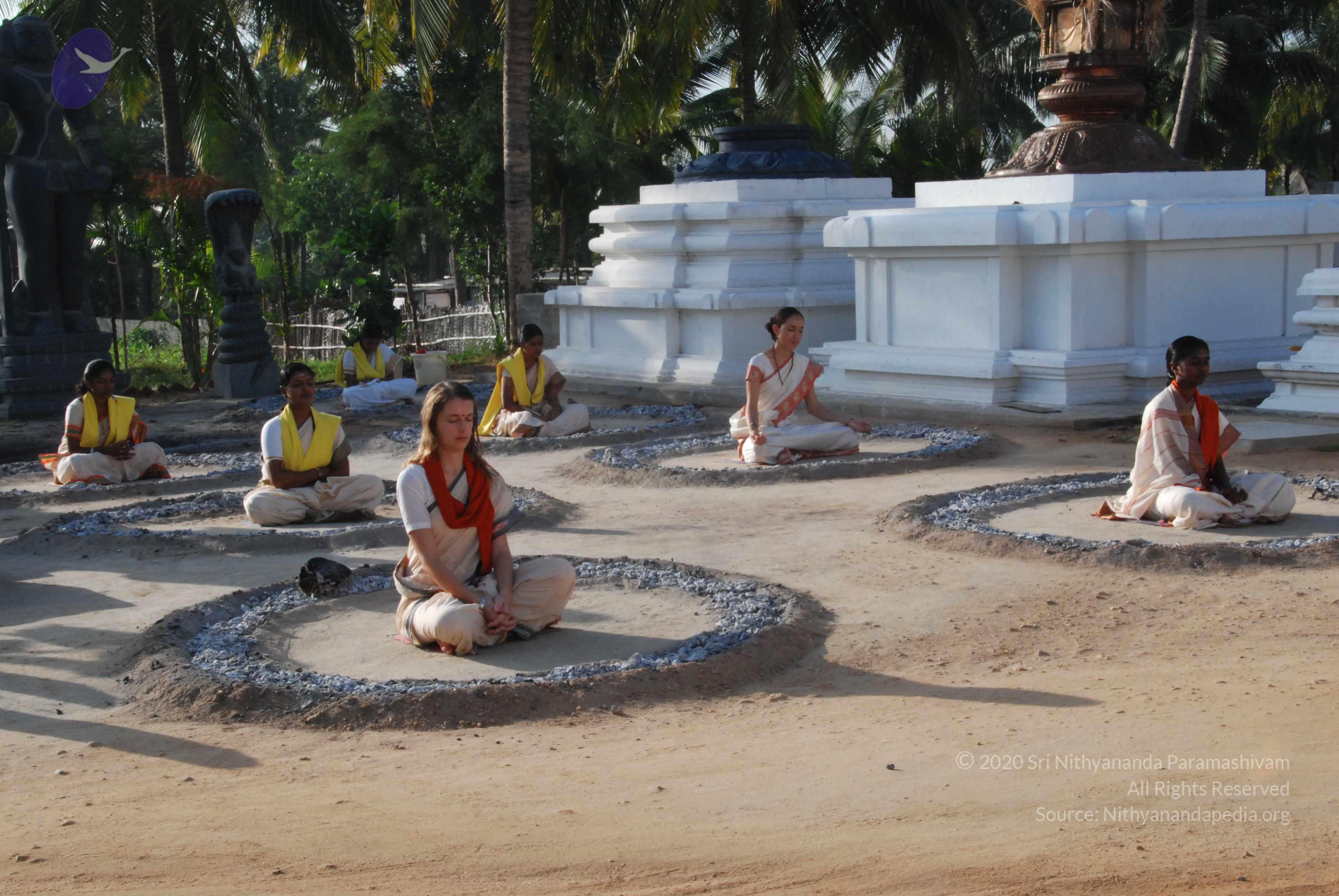 20100710_Photo_1151_DSC_7652_CMP_WM