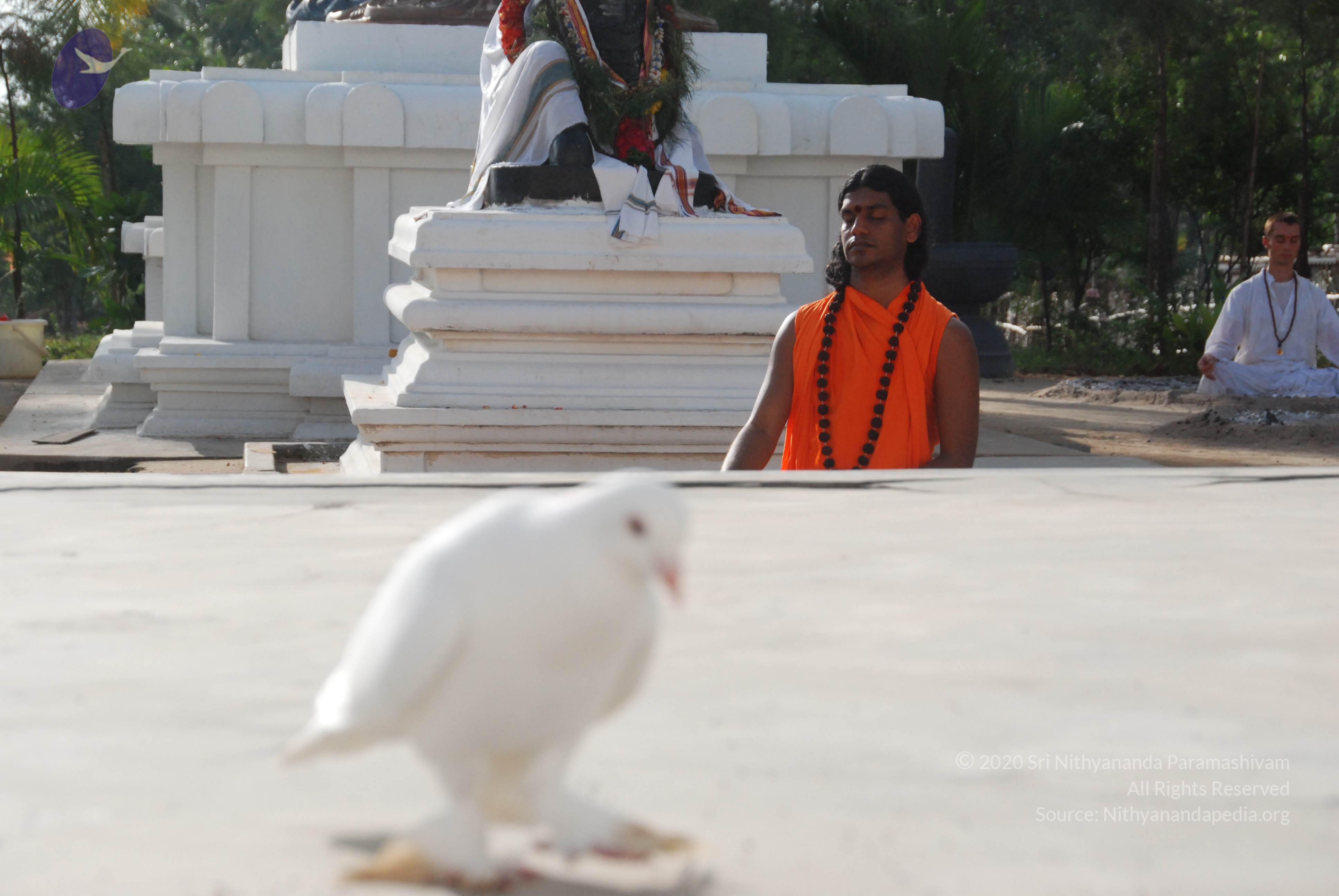 20100710_Photo_1154_DSC_7713_CMP_WM