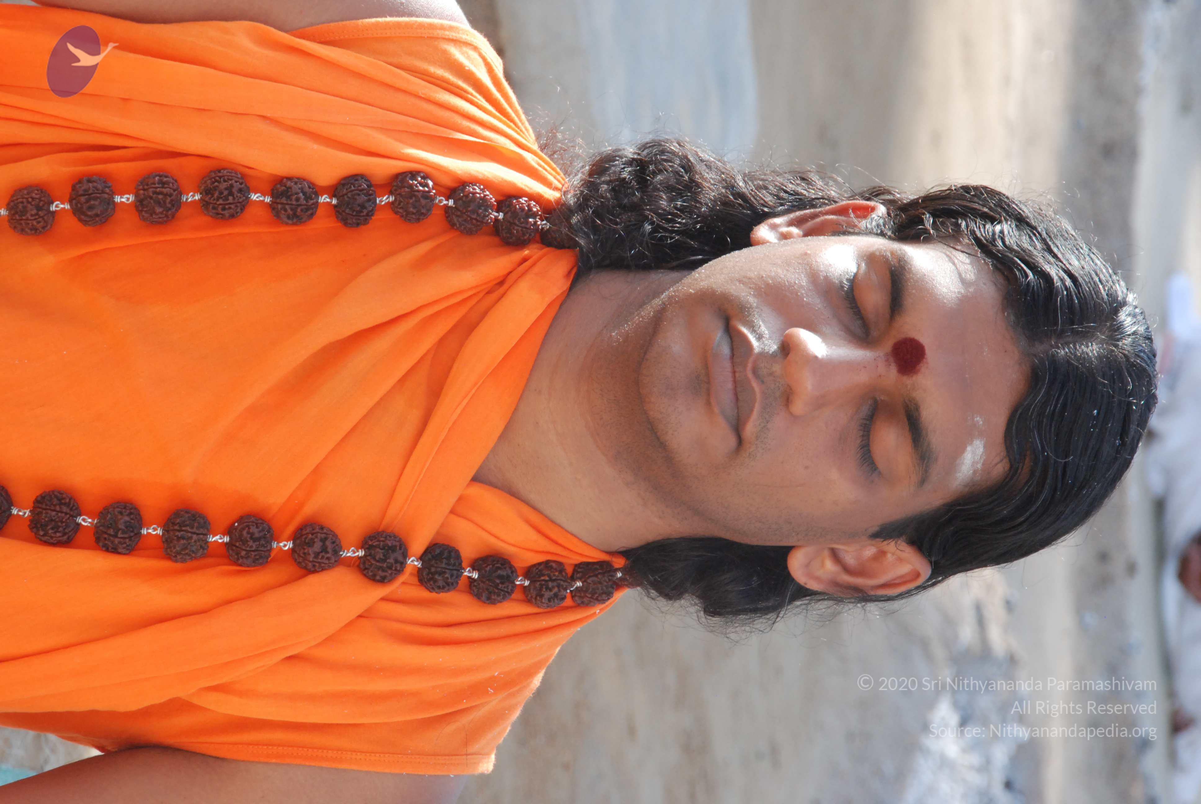 20100710_Photo_1157_DSC_7686_CMP_WM