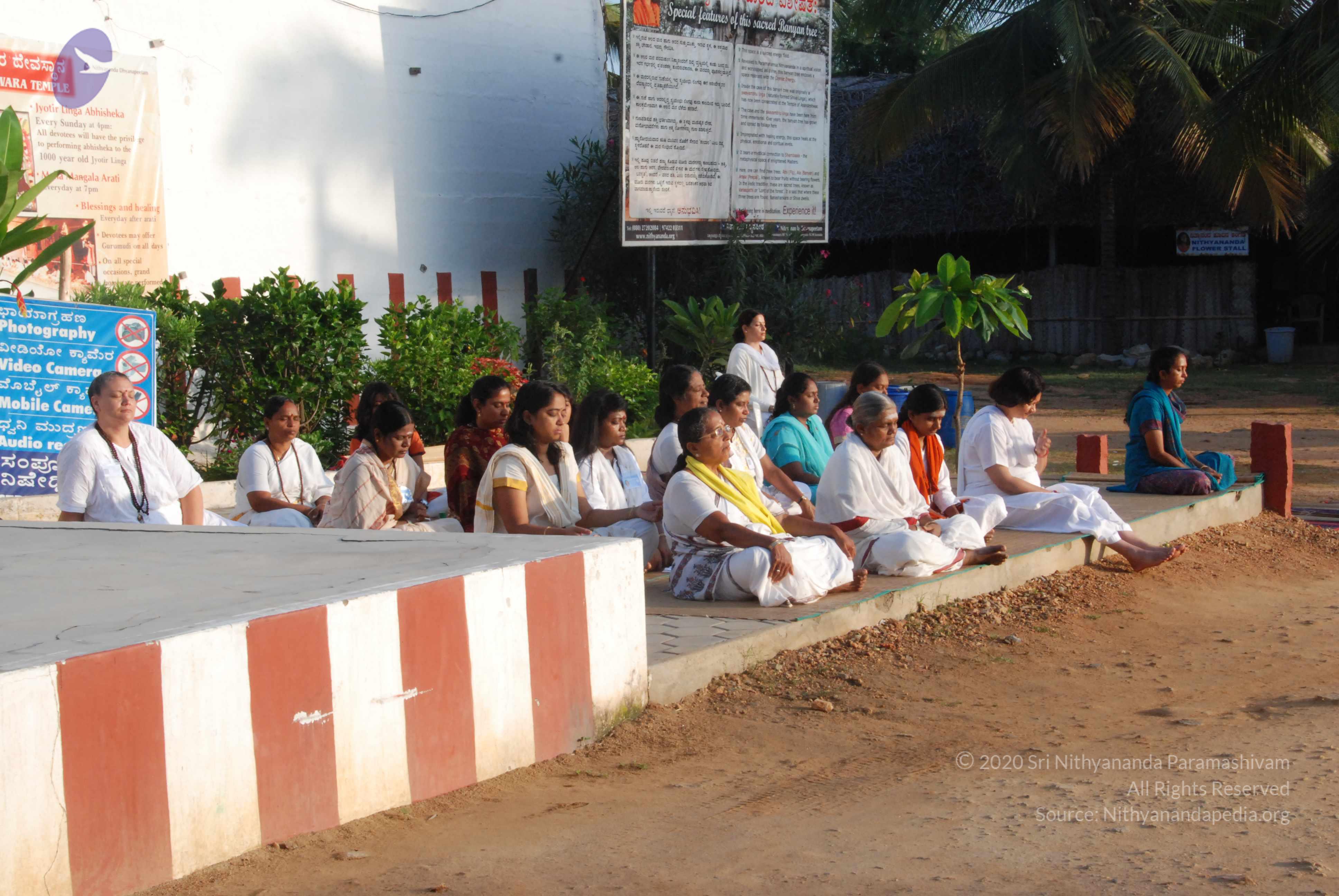 20100710_Photo_1160_DSC_7545_CMP_WM