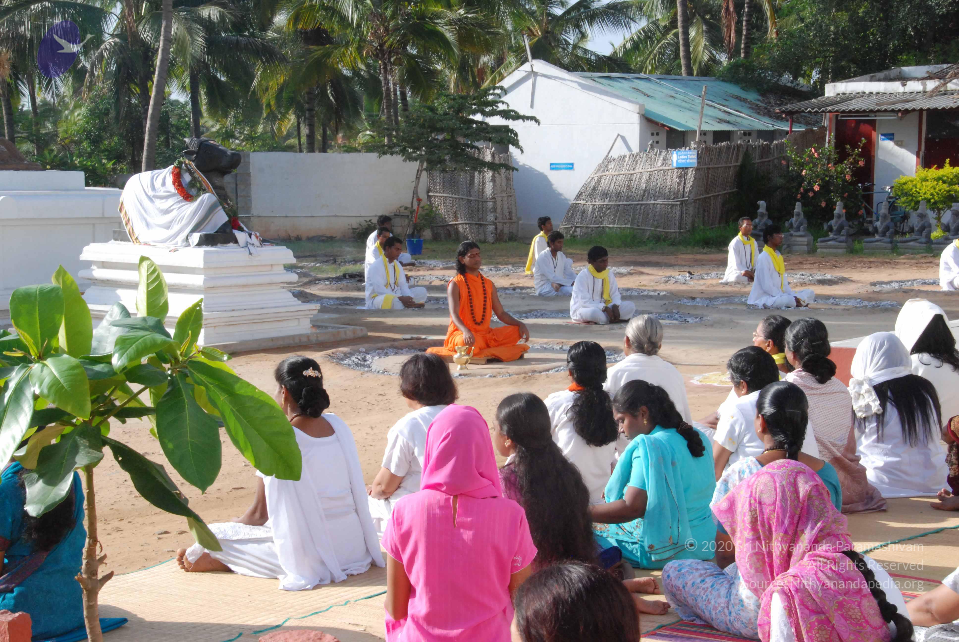 20100710_Photo_1161_DSC_7729_CMP_WM