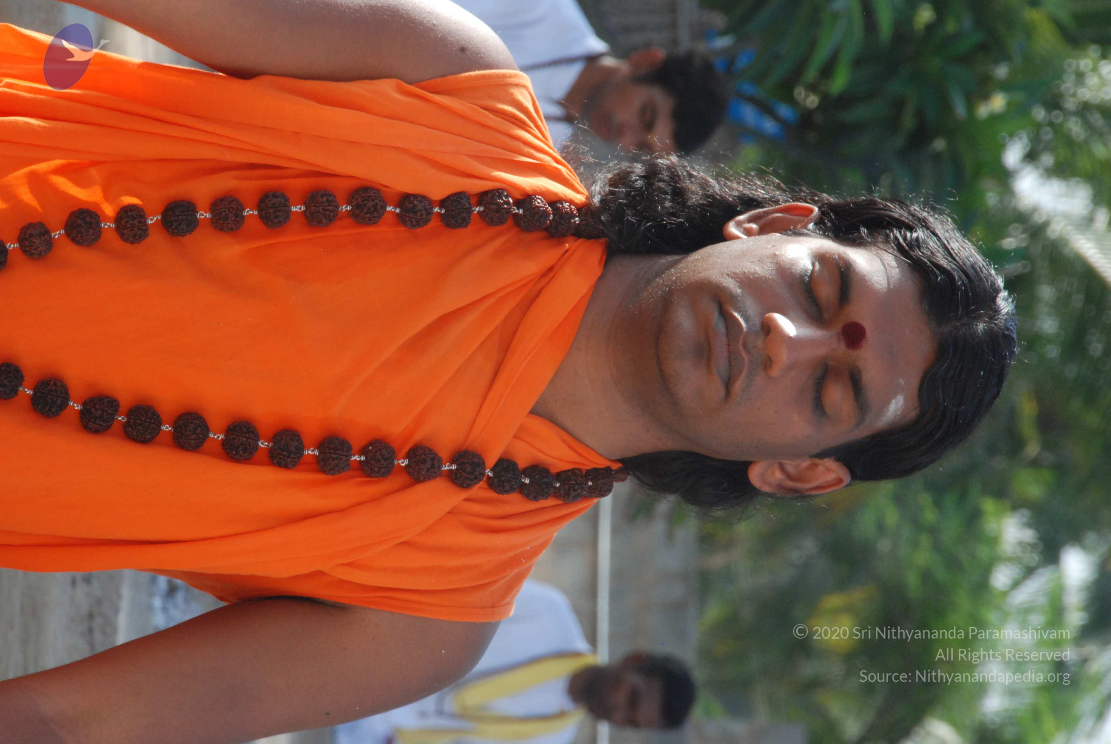 20100710_Photo_1169_DSC_7674_CMP_WM