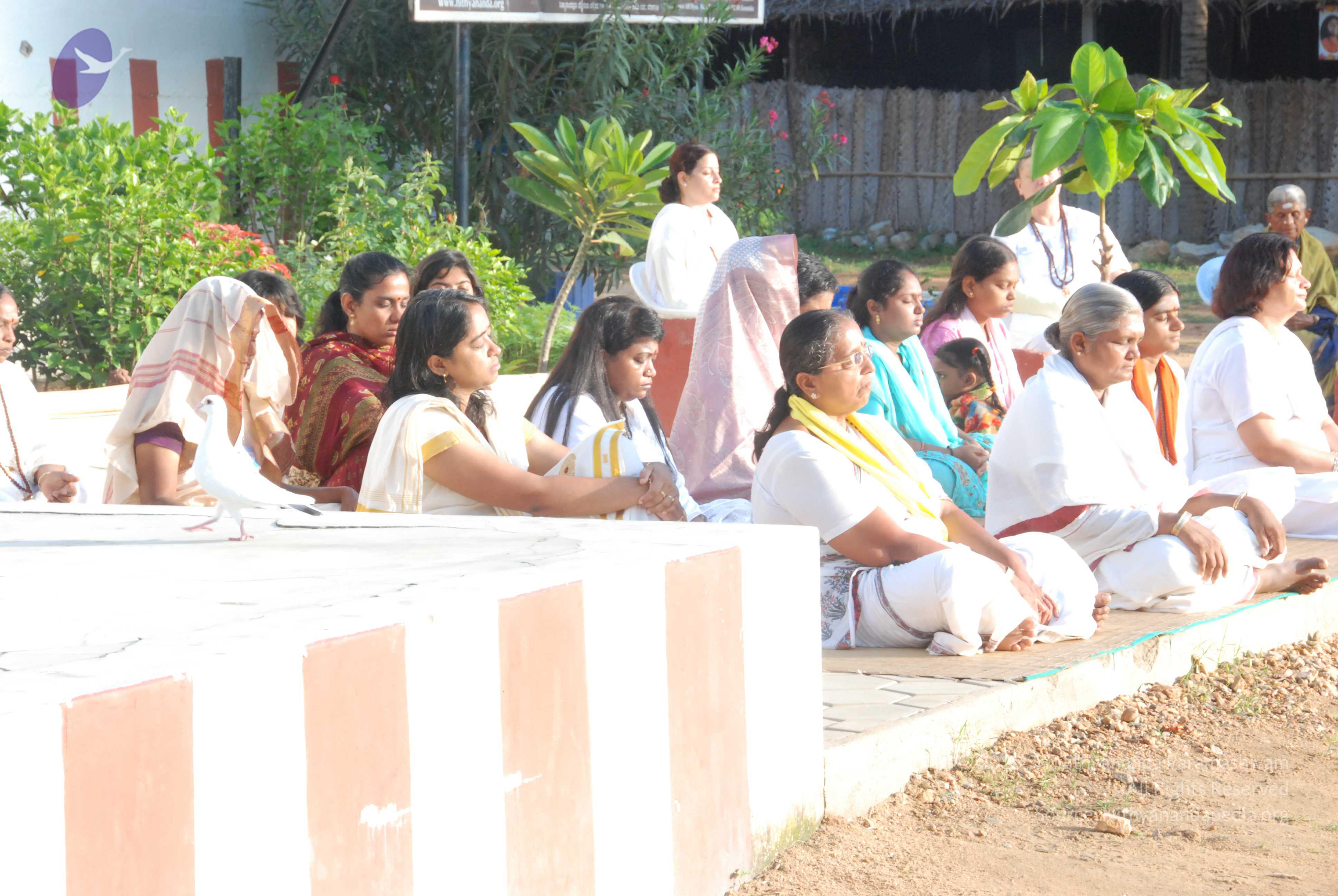 20100710_Photo_1170_DSC_7580_CMP_WM