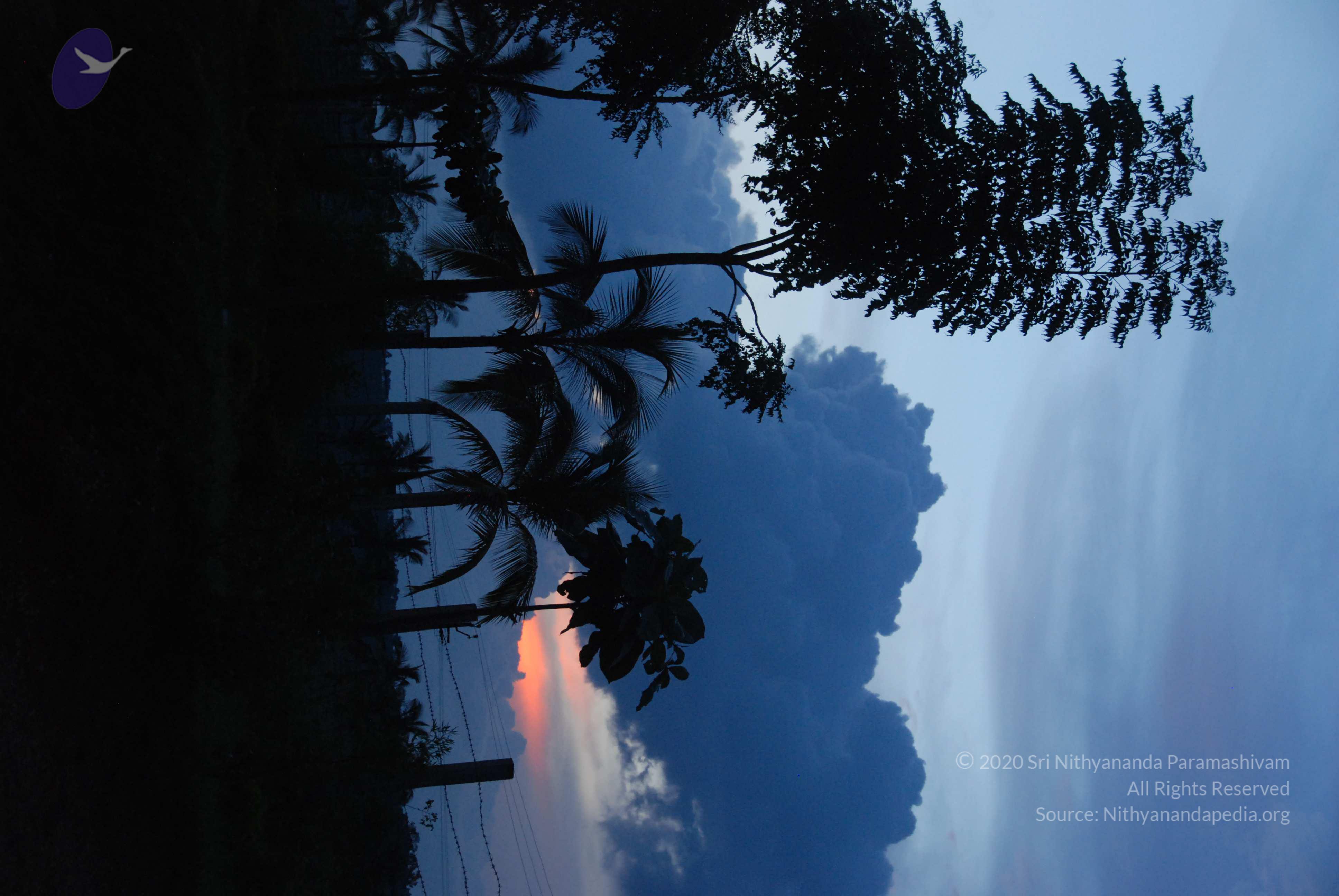 20100710_Photo_1000_DSC_7949_CMP_WM