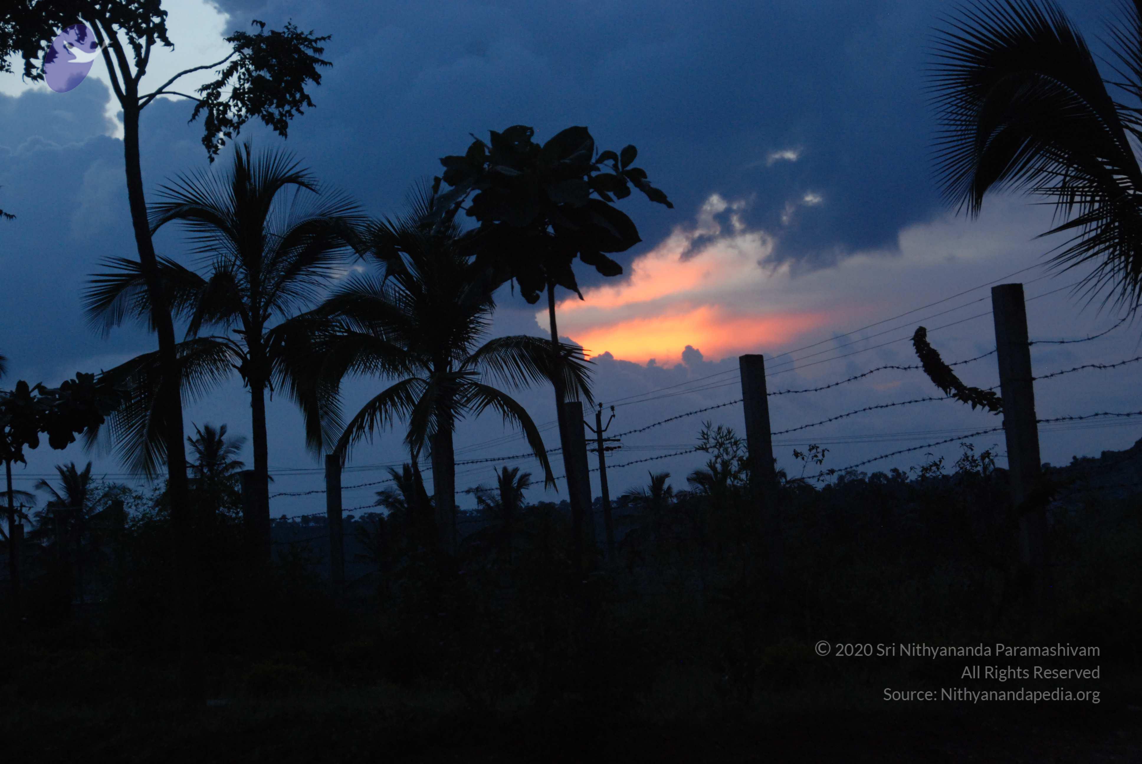 20100710_Photo_1001_DSC_7944_CMP_WM