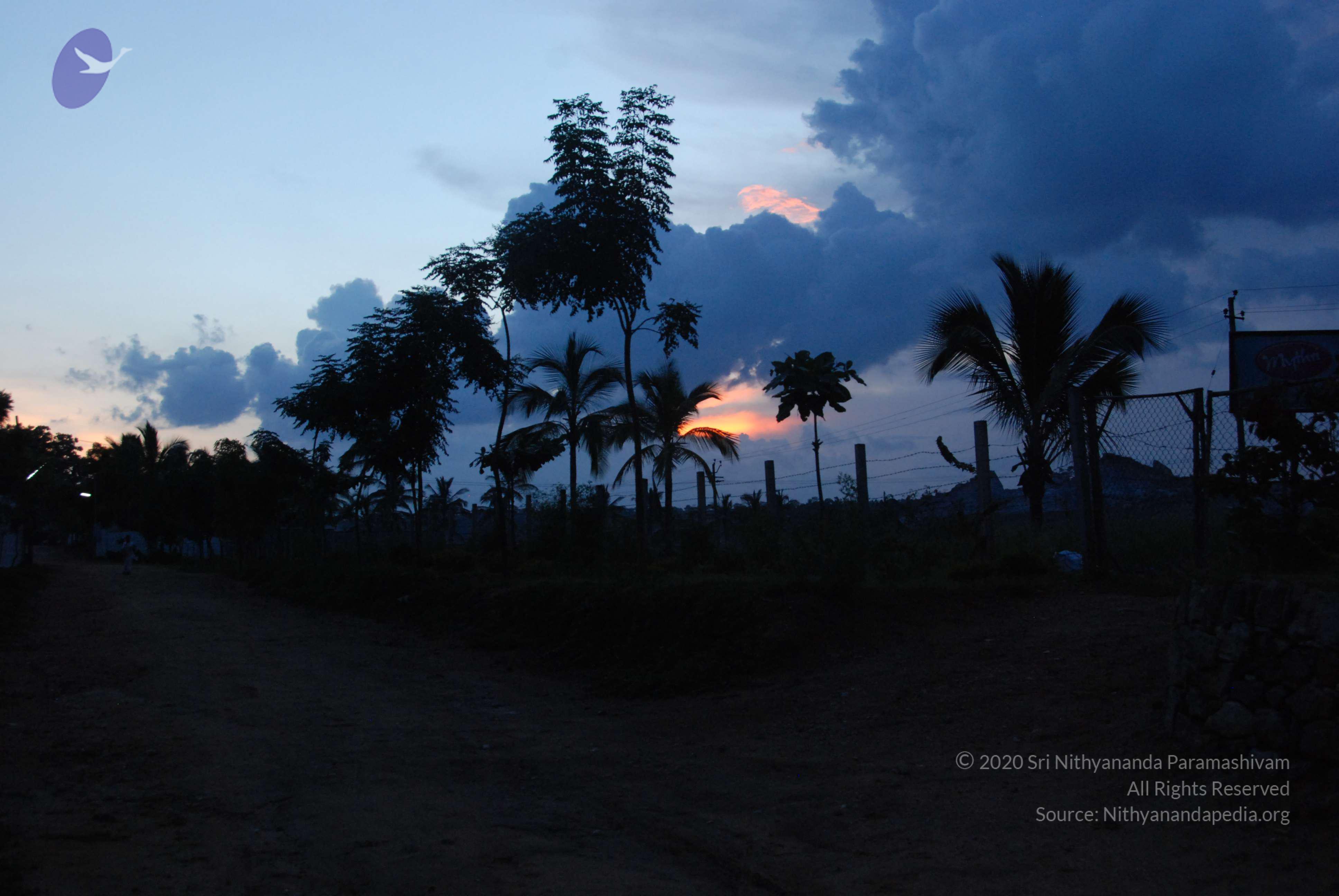 20100710_Photo_1002_DSC_7941_CMP_WM