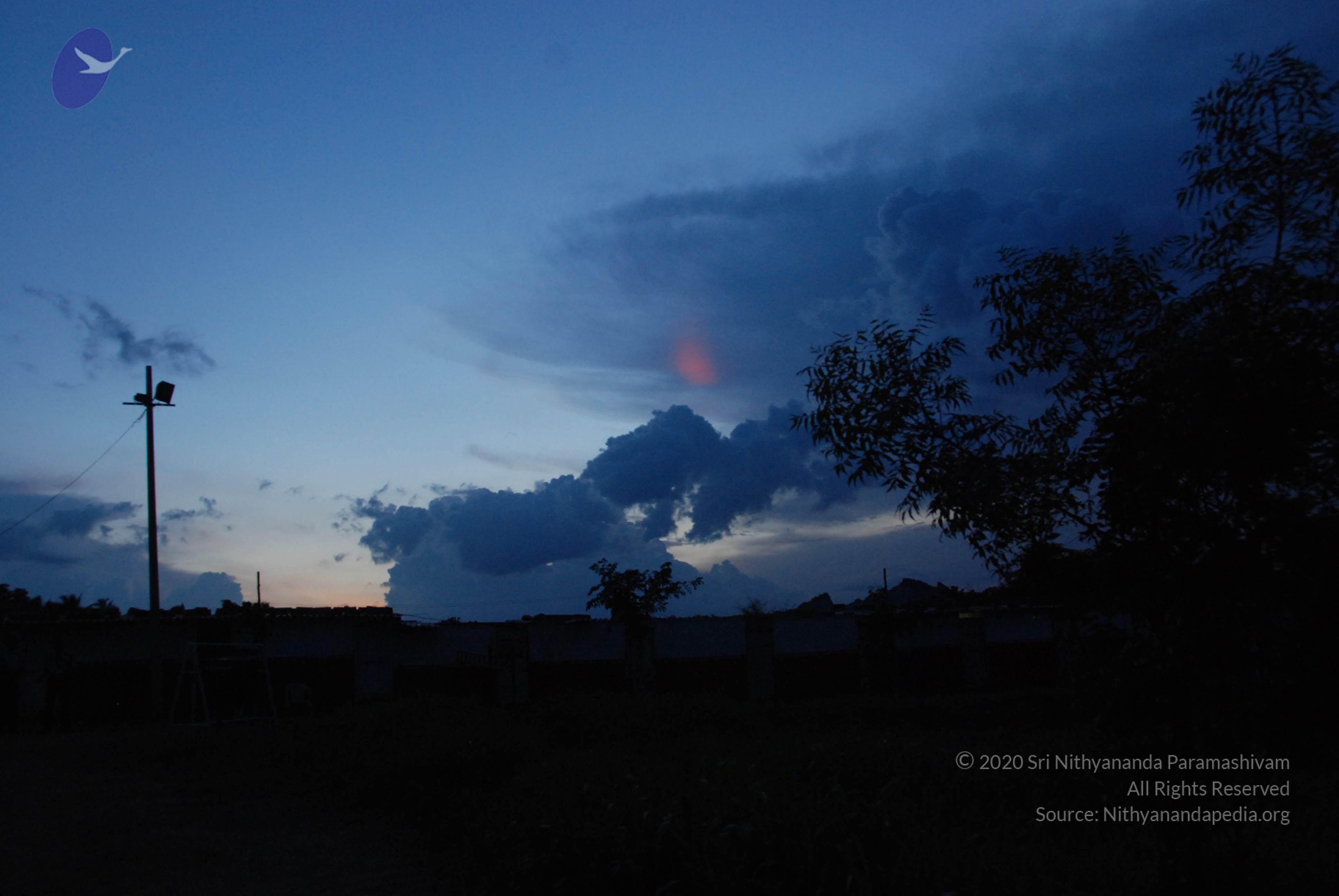 20100710_Photo_1003_DSC_7950_CMP_WM