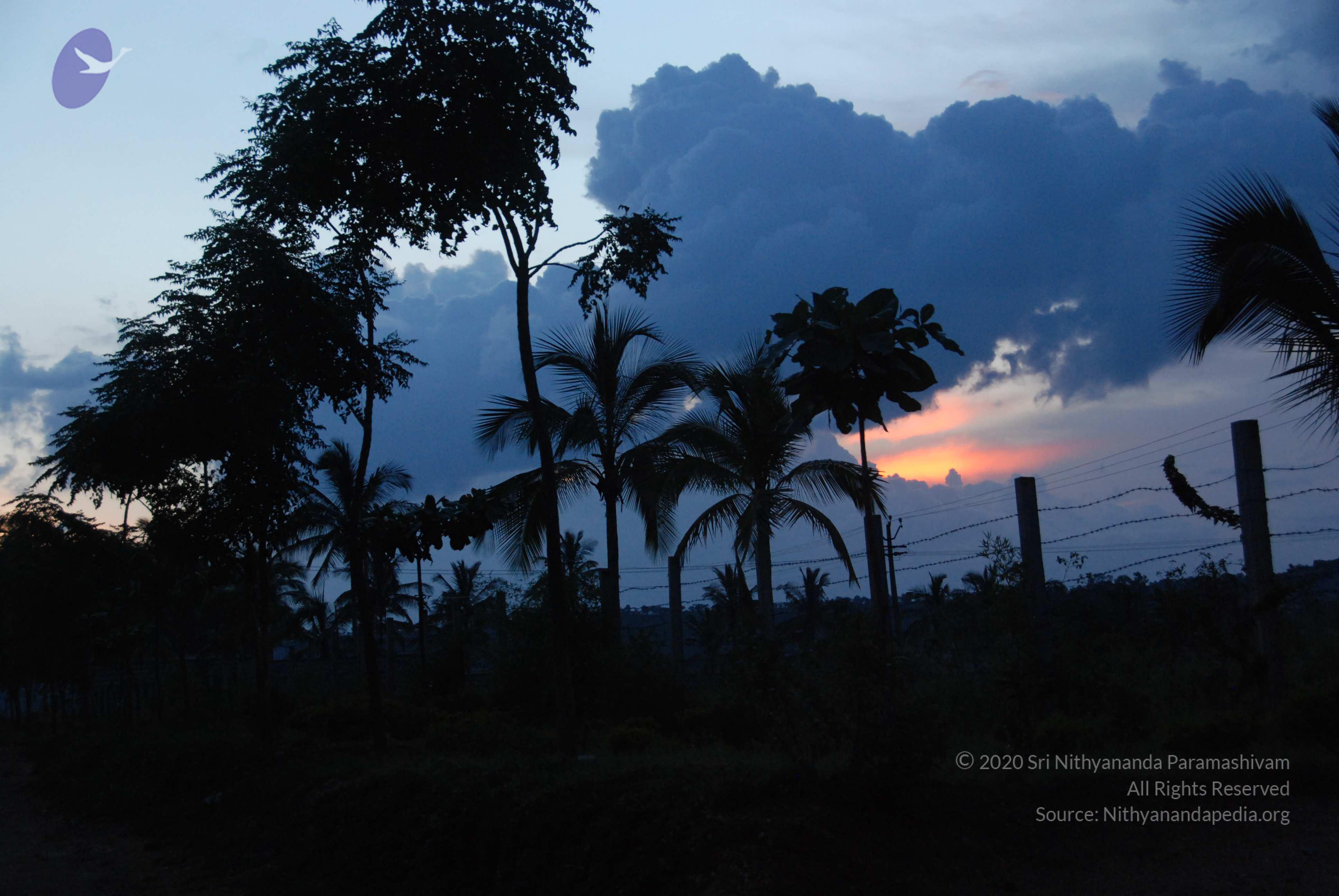 20100710_Photo_1005_DSC_7946_CMP_WM