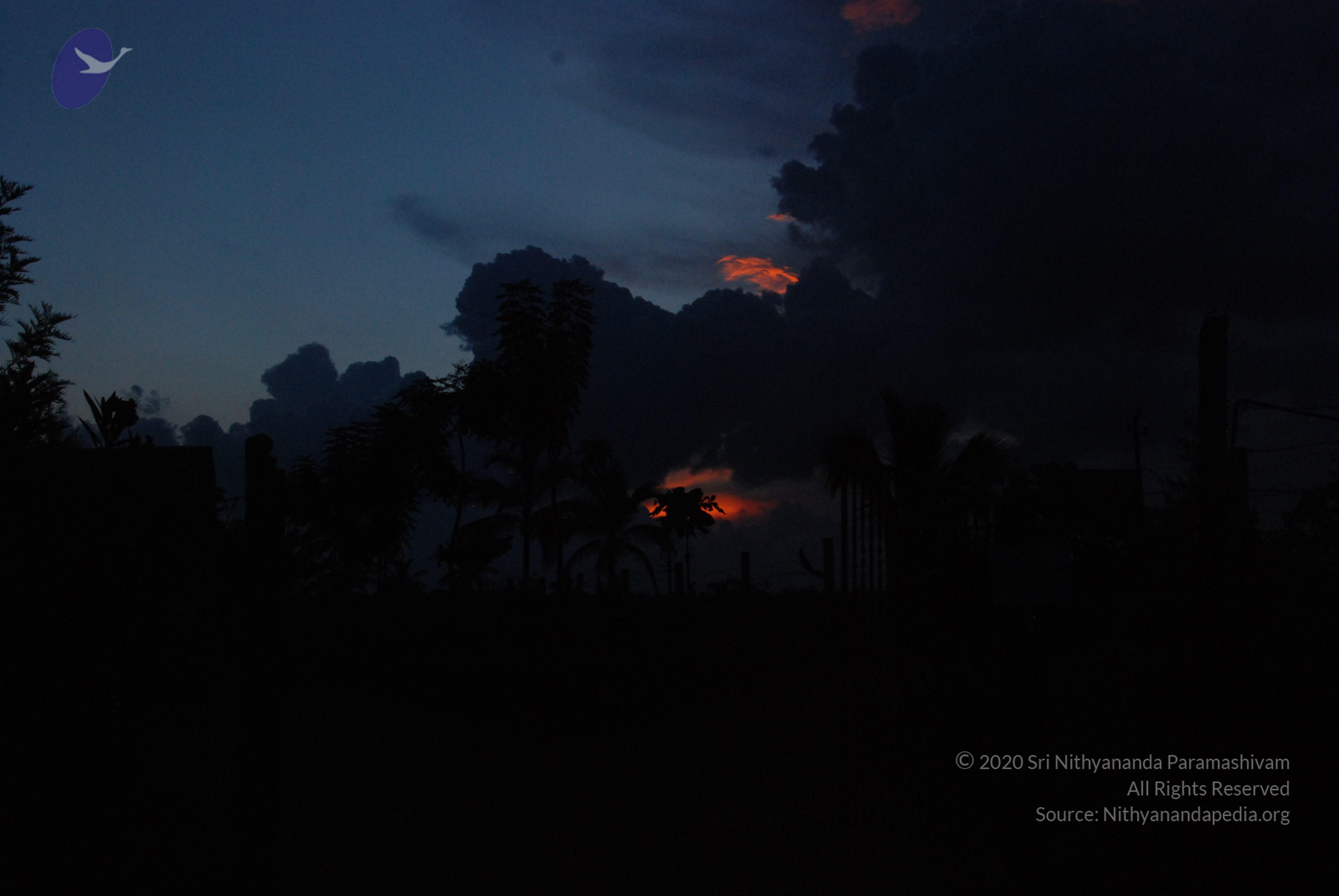 20100710_Photo_1006_DSC_7938_CMP_WM