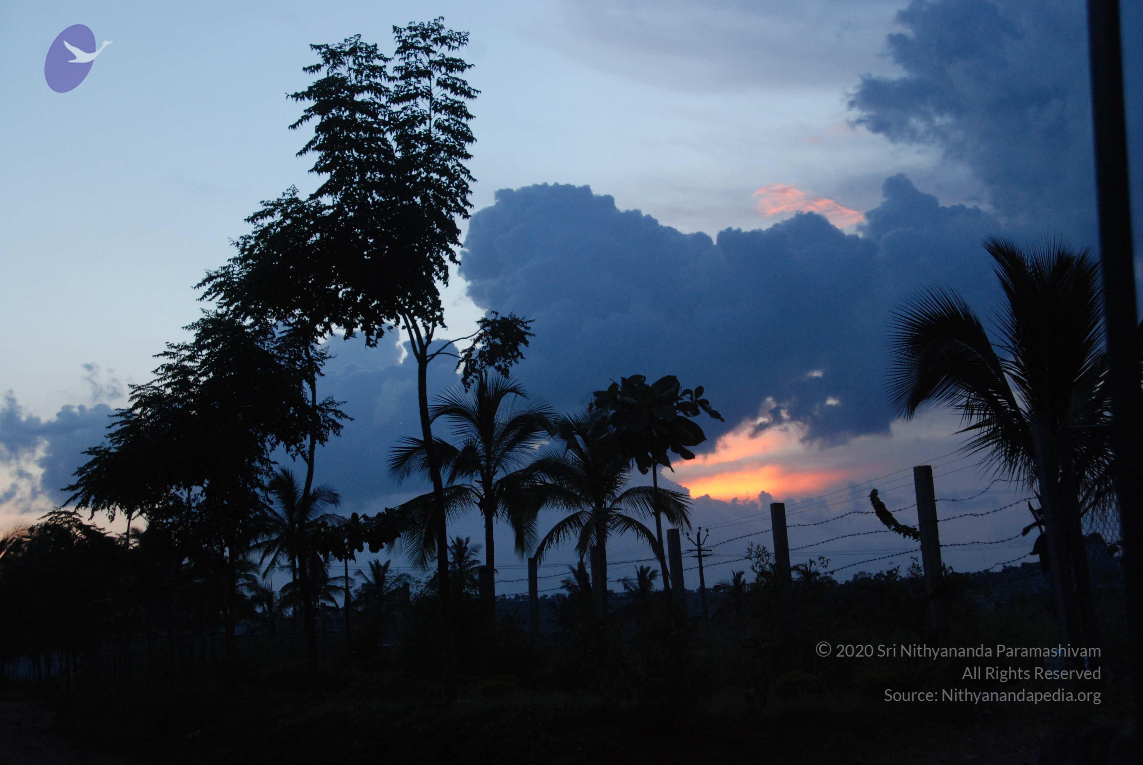 20100710_Photo_1007_DSC_7943_CMP_WM