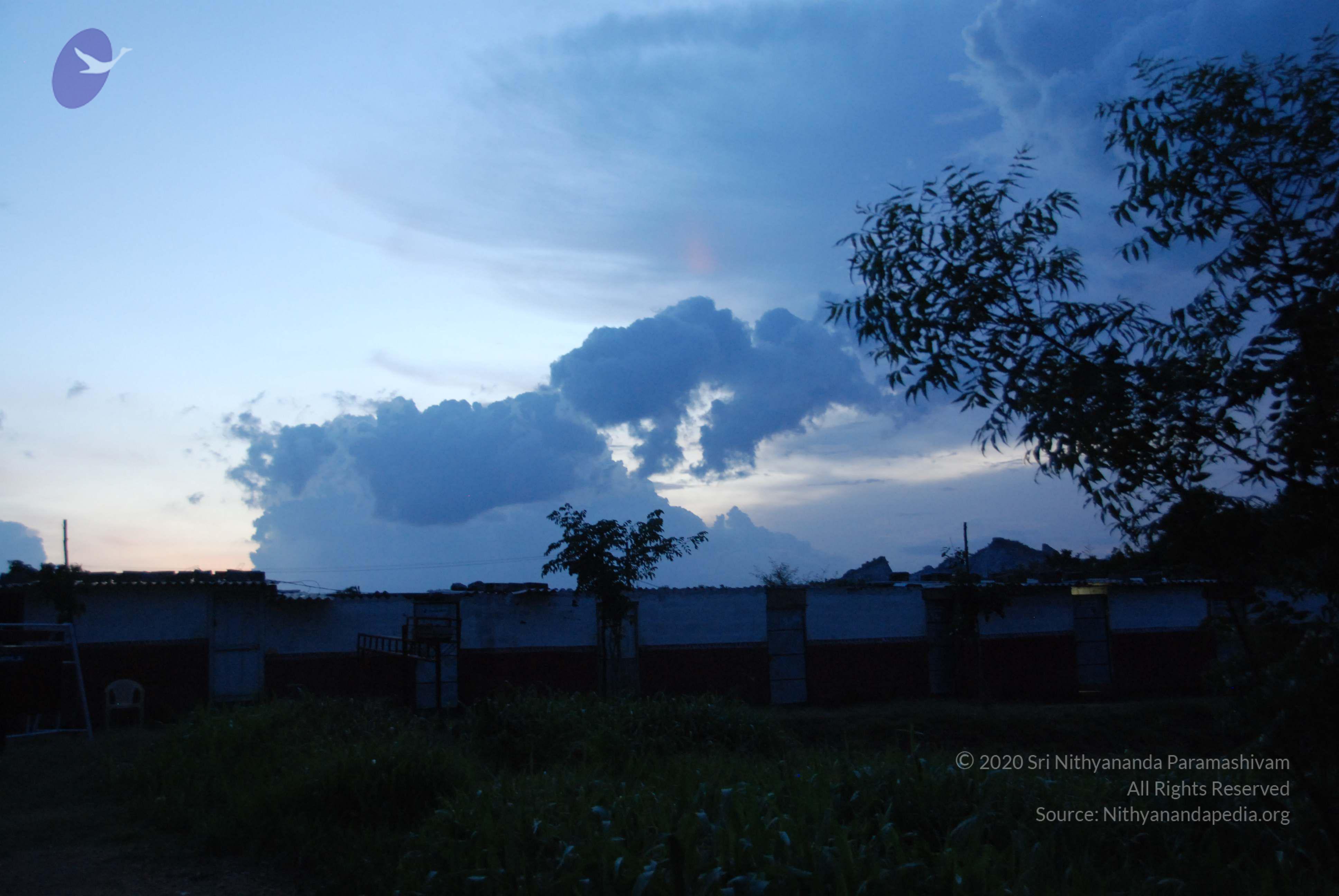 20100710_Photo_1008_DSC_7952_CMP_WM