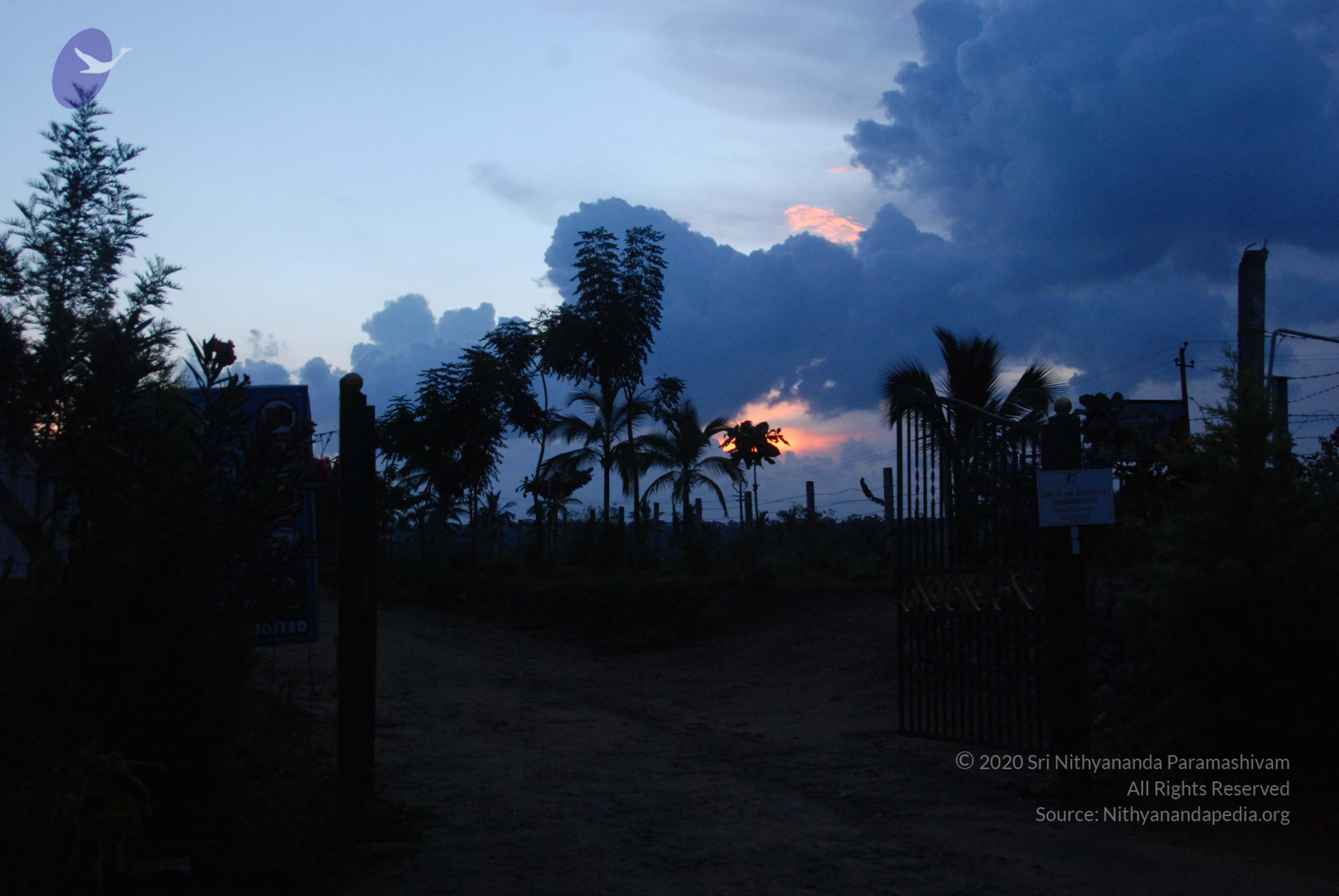 20100710_Photo_1009_DSC_7940_CMP_WM