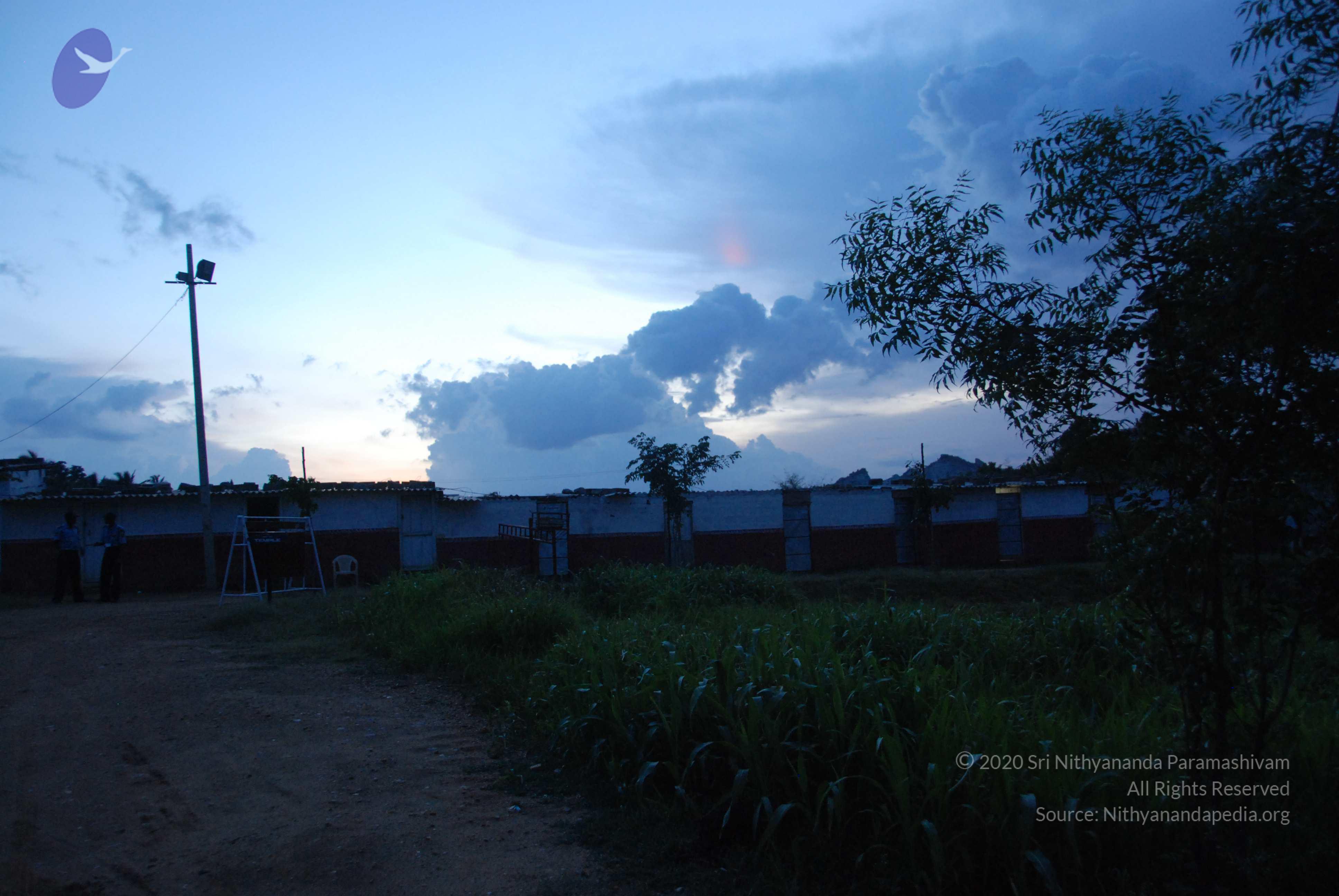 20100710_Photo_1010_DSC_7951_CMP_WM